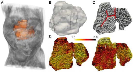 Im2mesh: A Python Library to Reconstruct 3D Meshes from Scattered Data ...