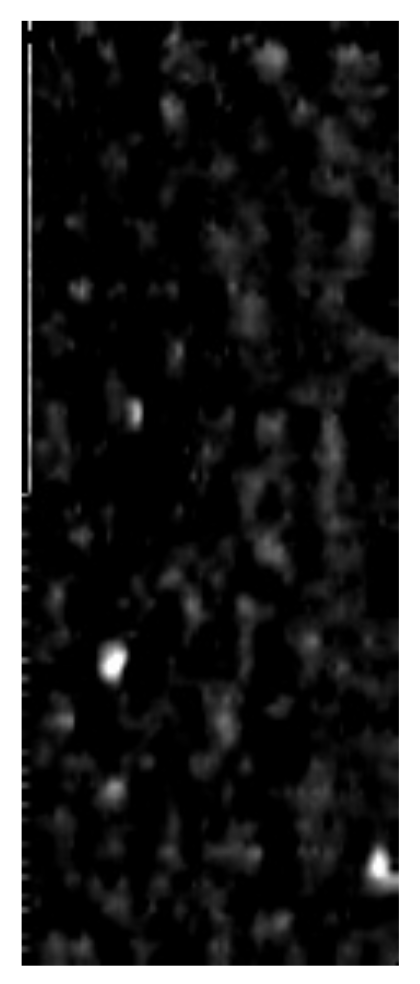 Applsci 12 11565 g014