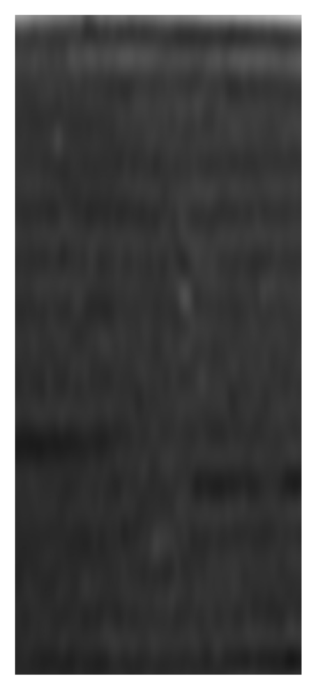 Applsci 12 11565 g016