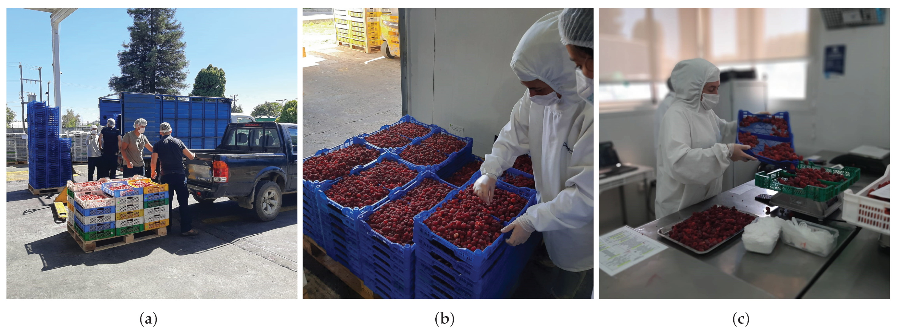 Applsci 12 11586 g001 550