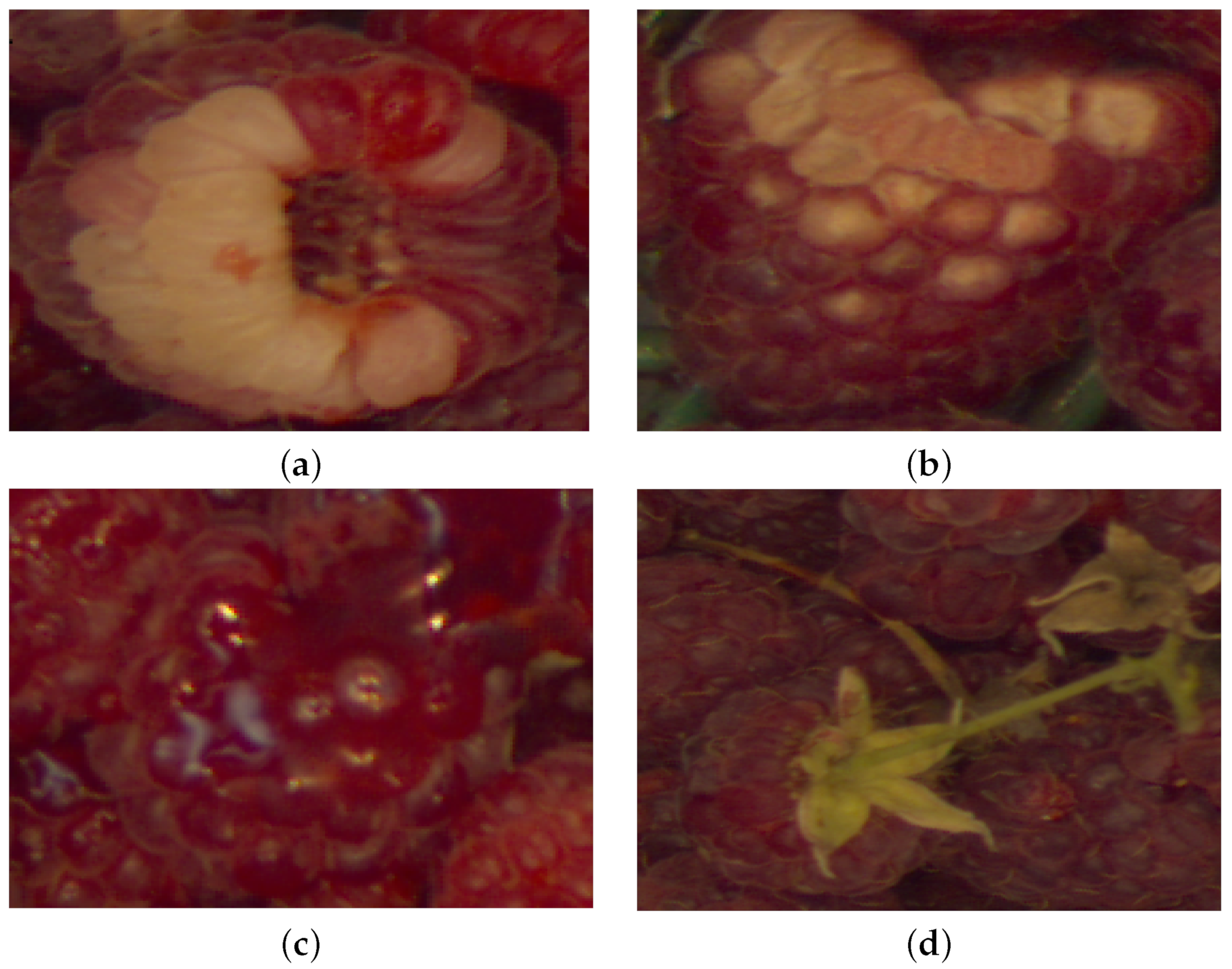 Applsci 12 11586 g003 550