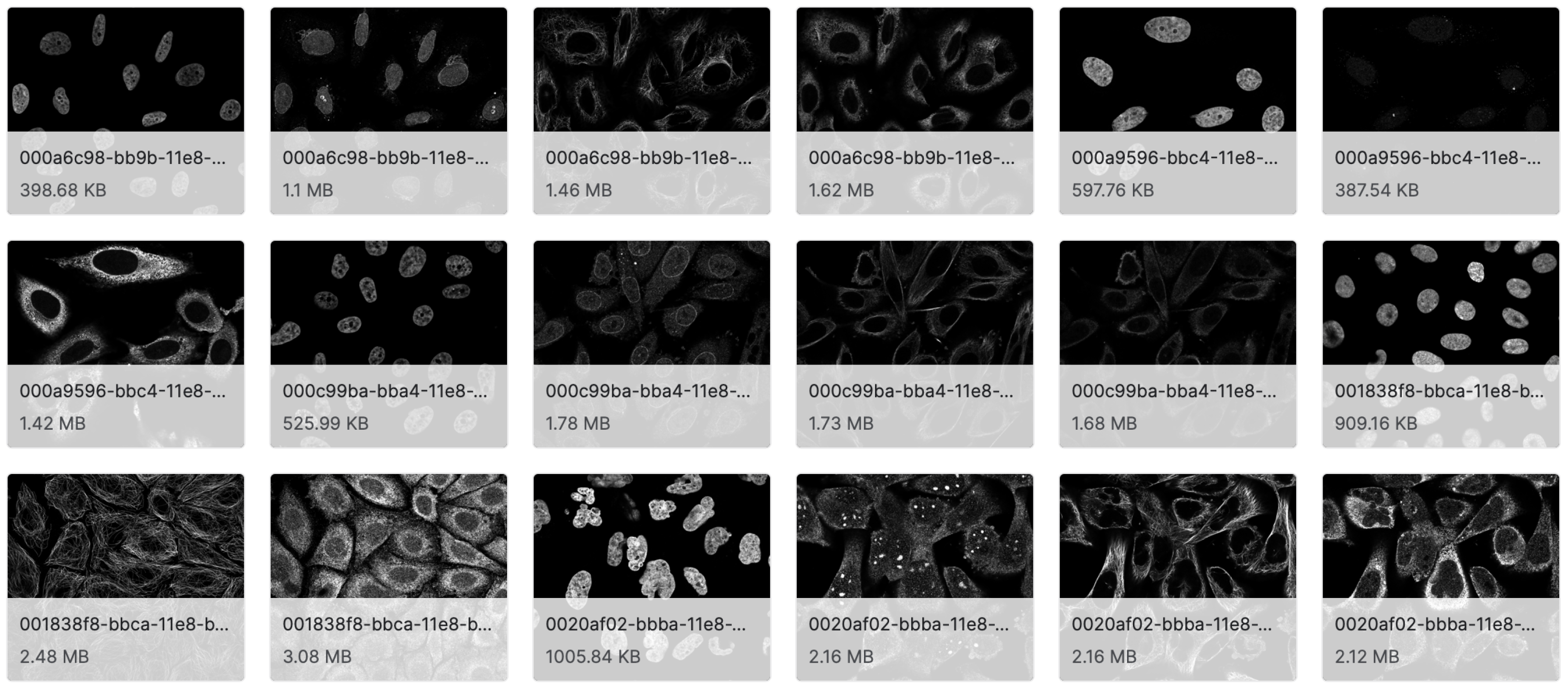 Applsci 12 11587 g002