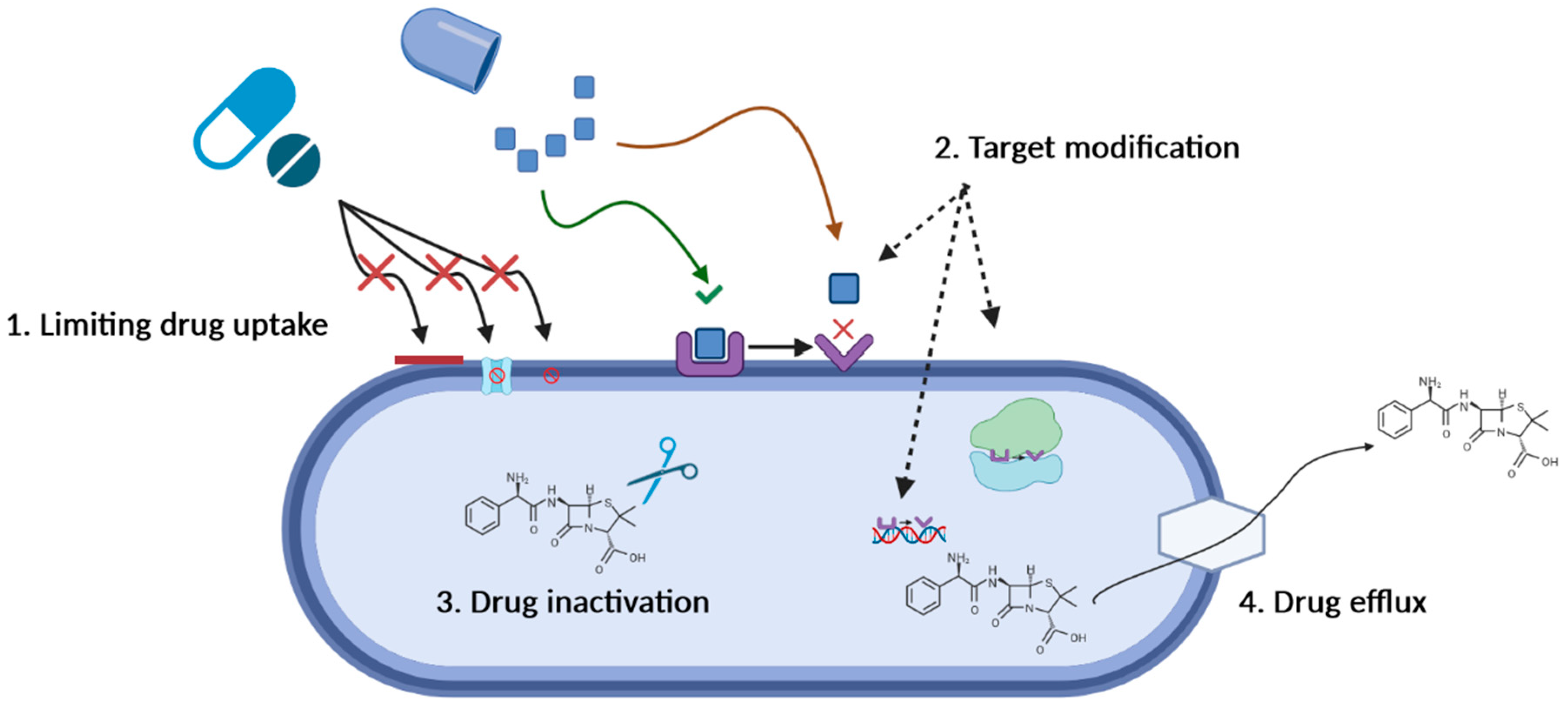 Applsci 12 11615 g001 Applsci 12 11615 g001