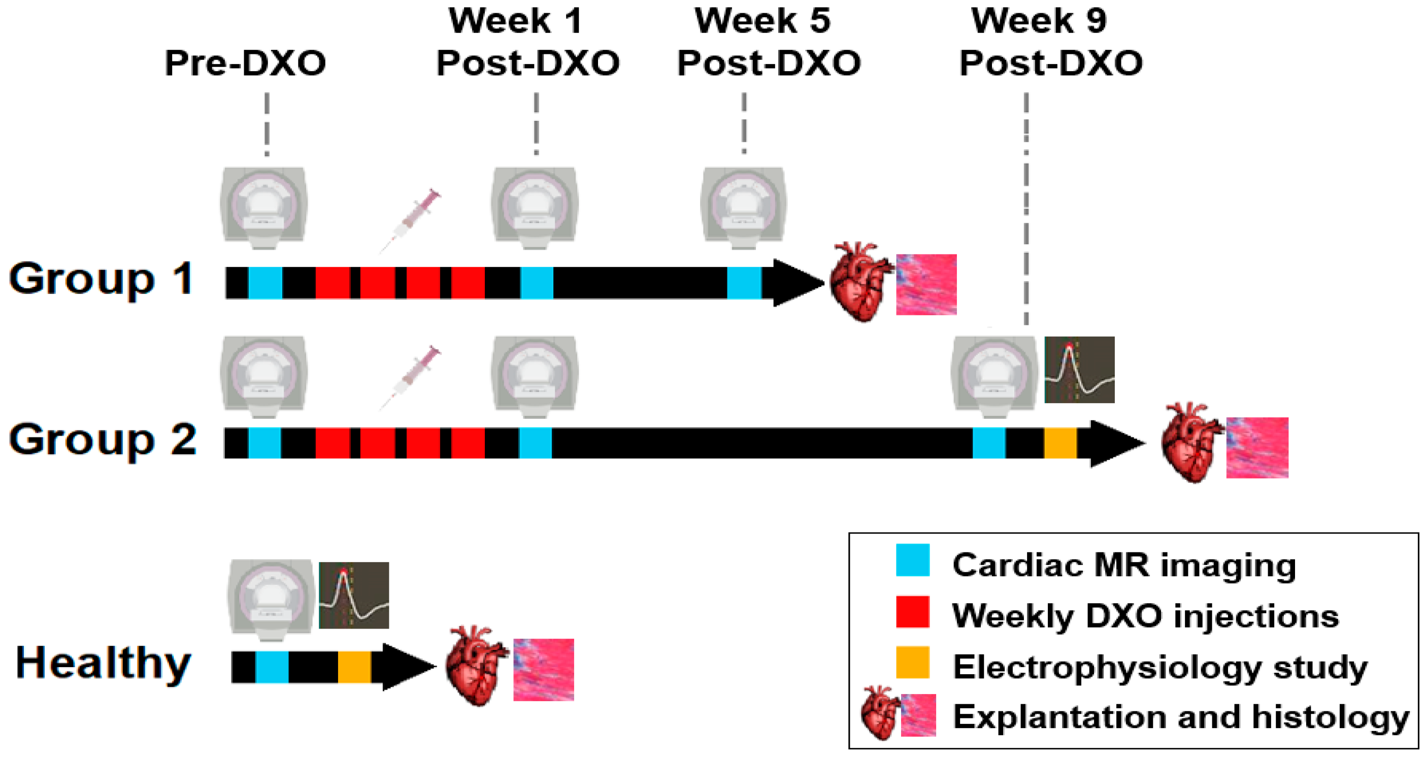 Applsci 12 11620 g001