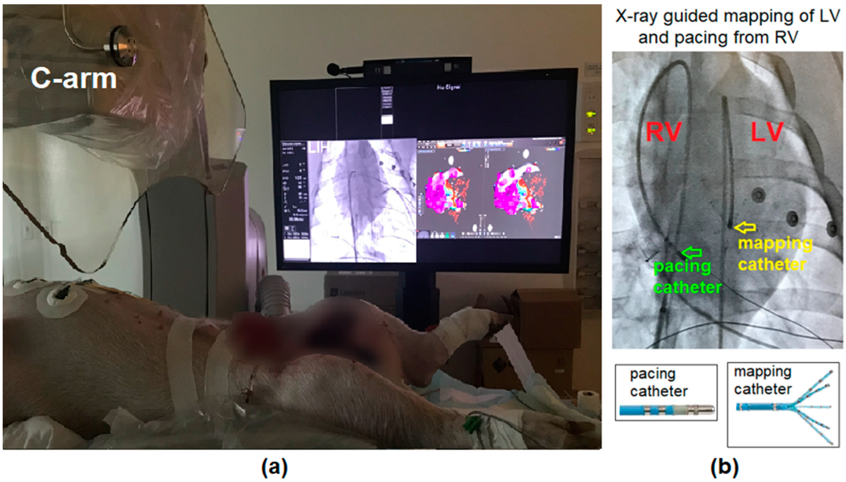 Applsci 12 11620 g004