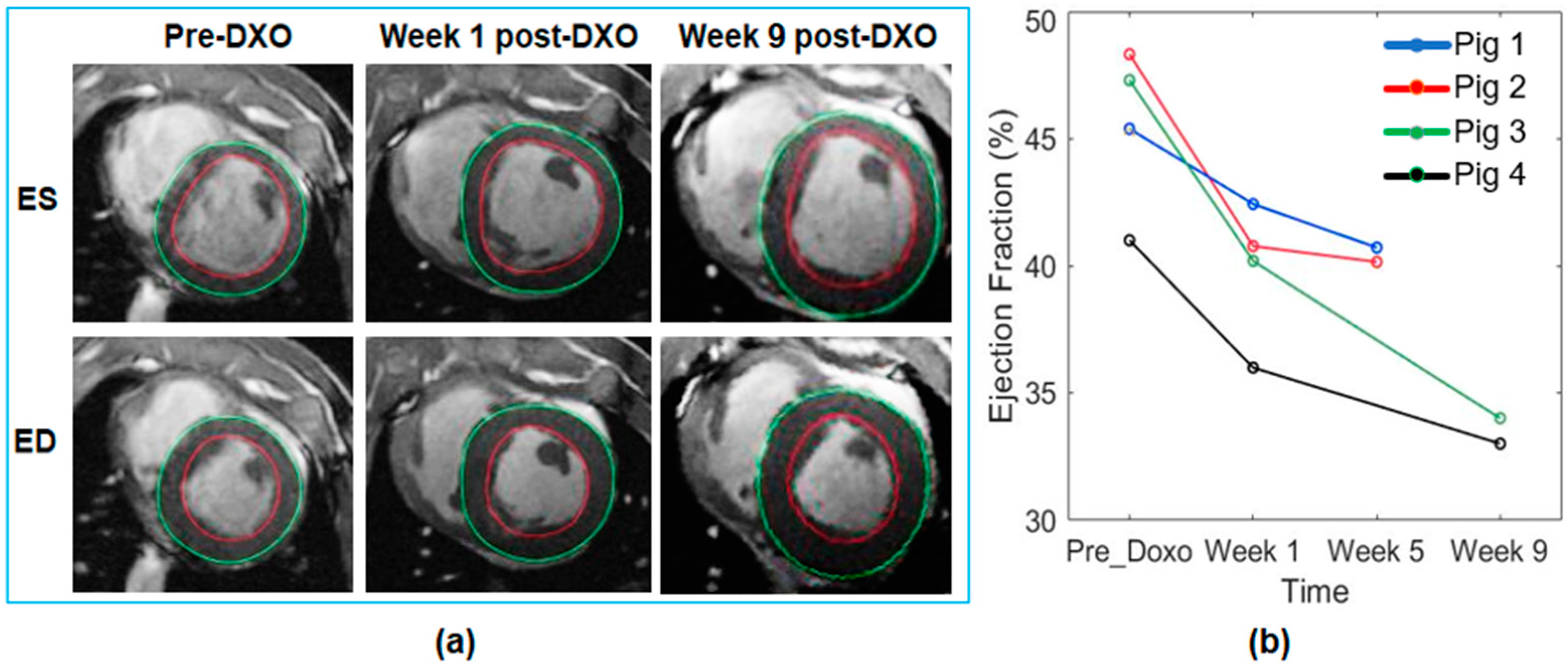 Applsci 12 11620 g005