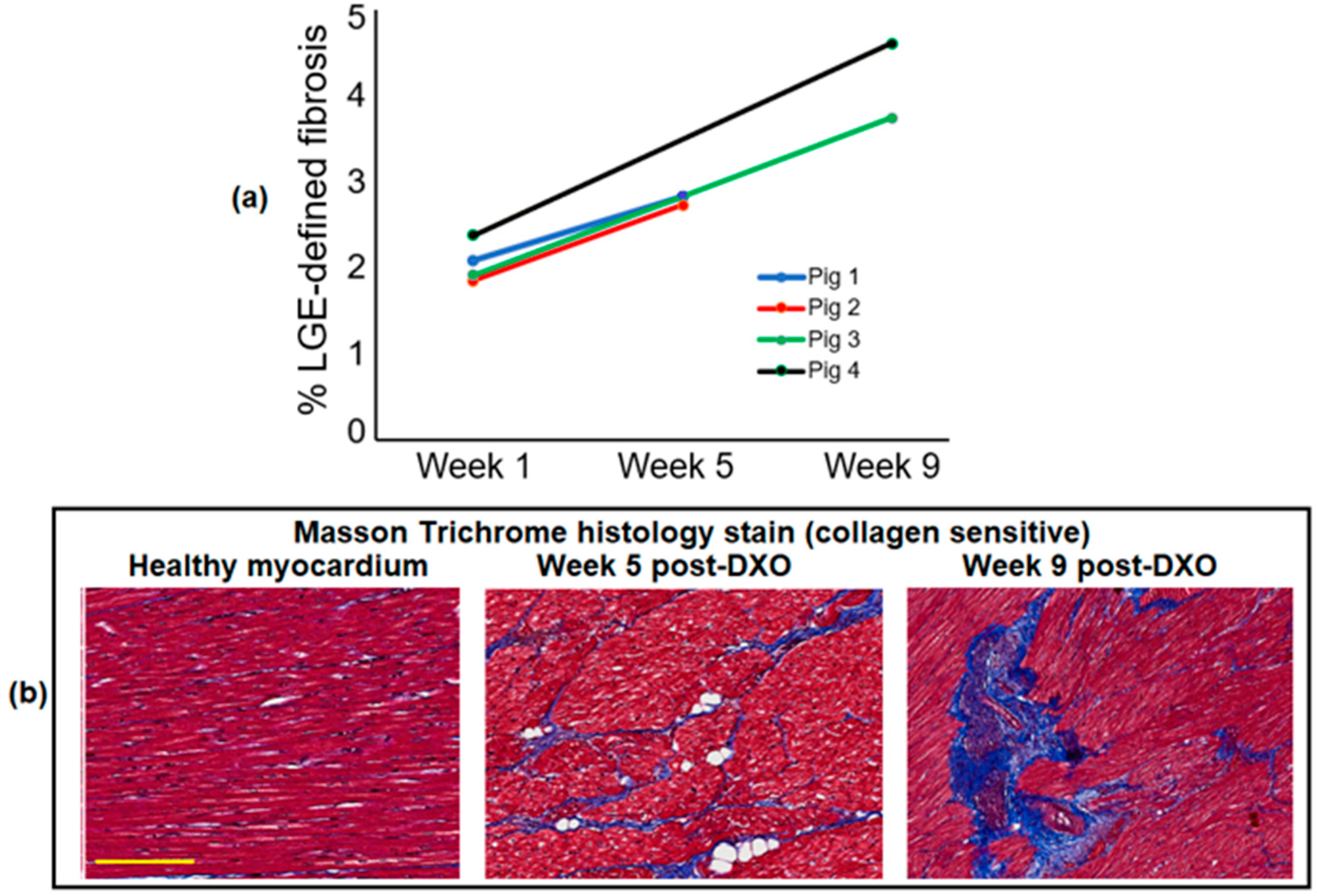 Applsci 12 11620 g007