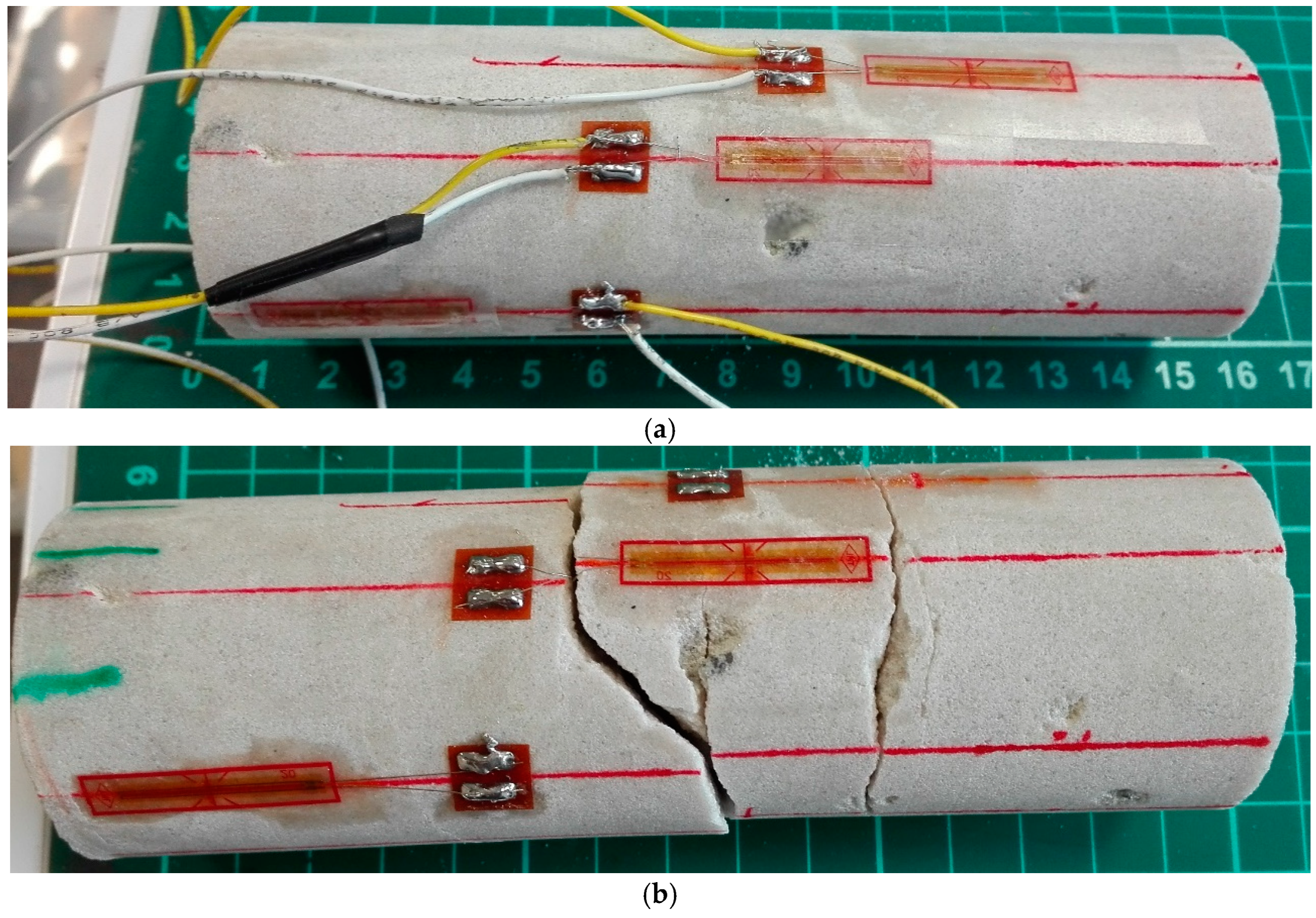 Applsci 12 11621 g002