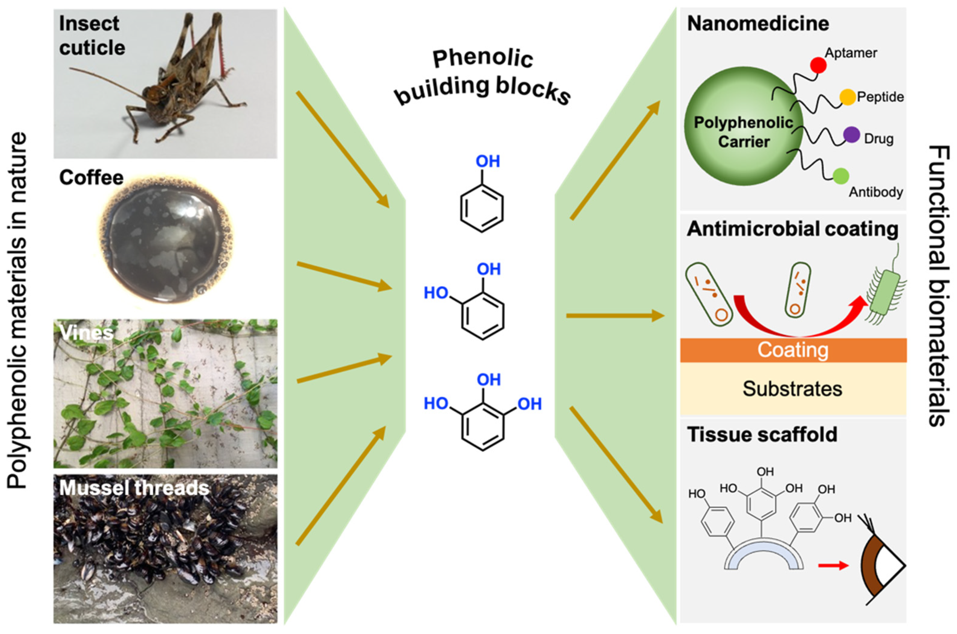 Applsci 12 11626 g001