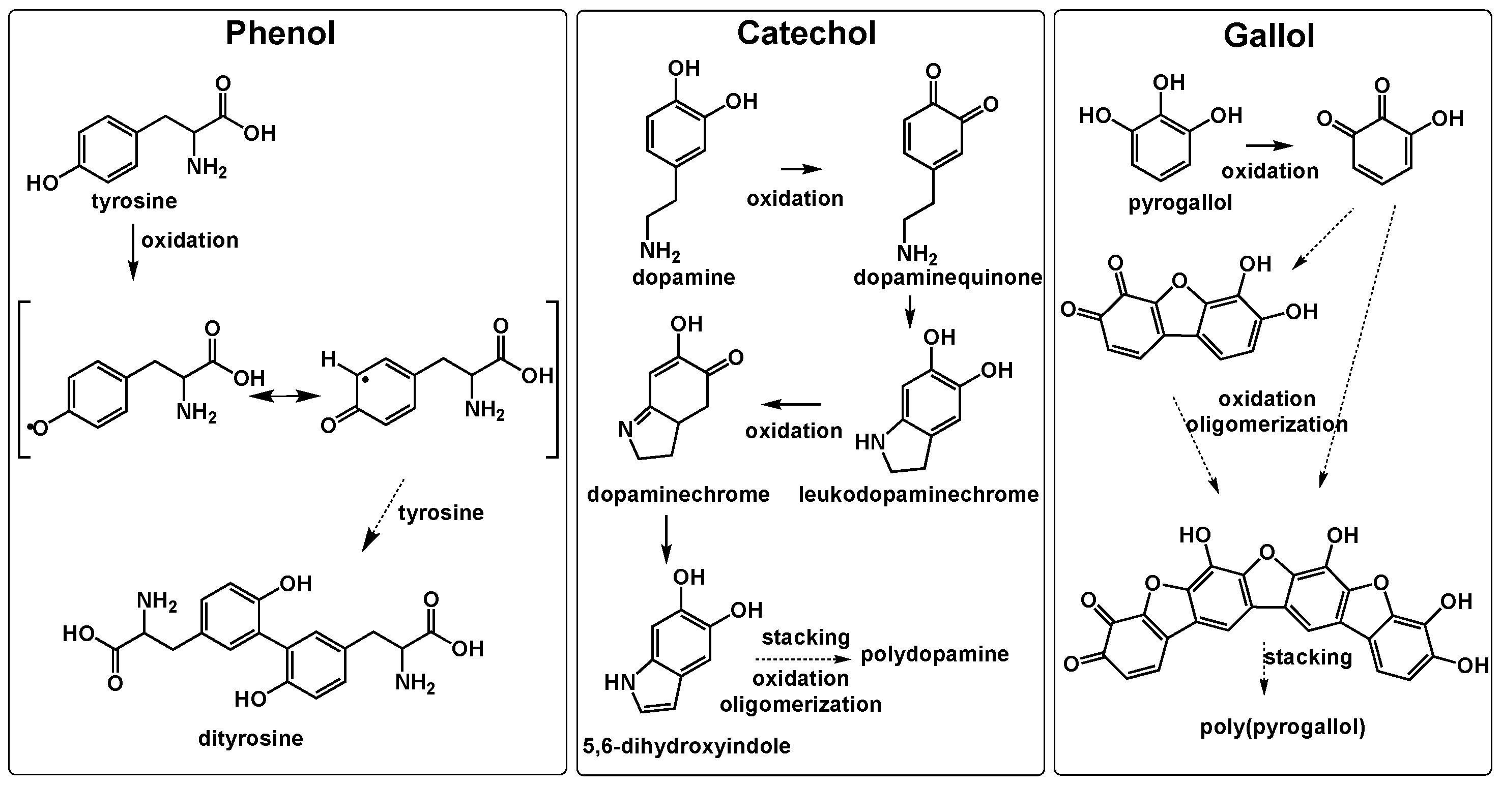 Applied Sciences Free FullText Crosslinking Mechanisms of Phenol