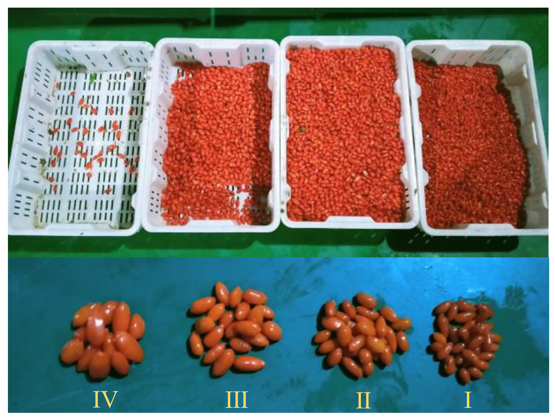 Applsci 12 11629 g024