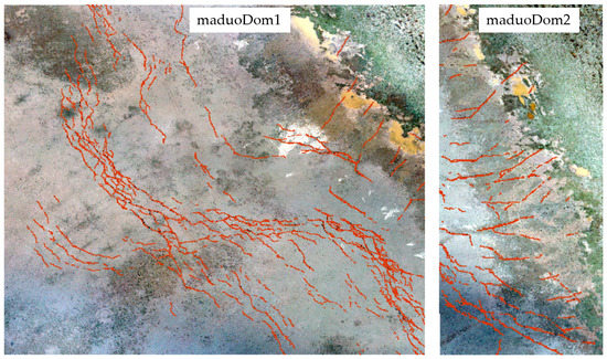Recognition of Earthquake Surface Ruptures Using Deep Learning