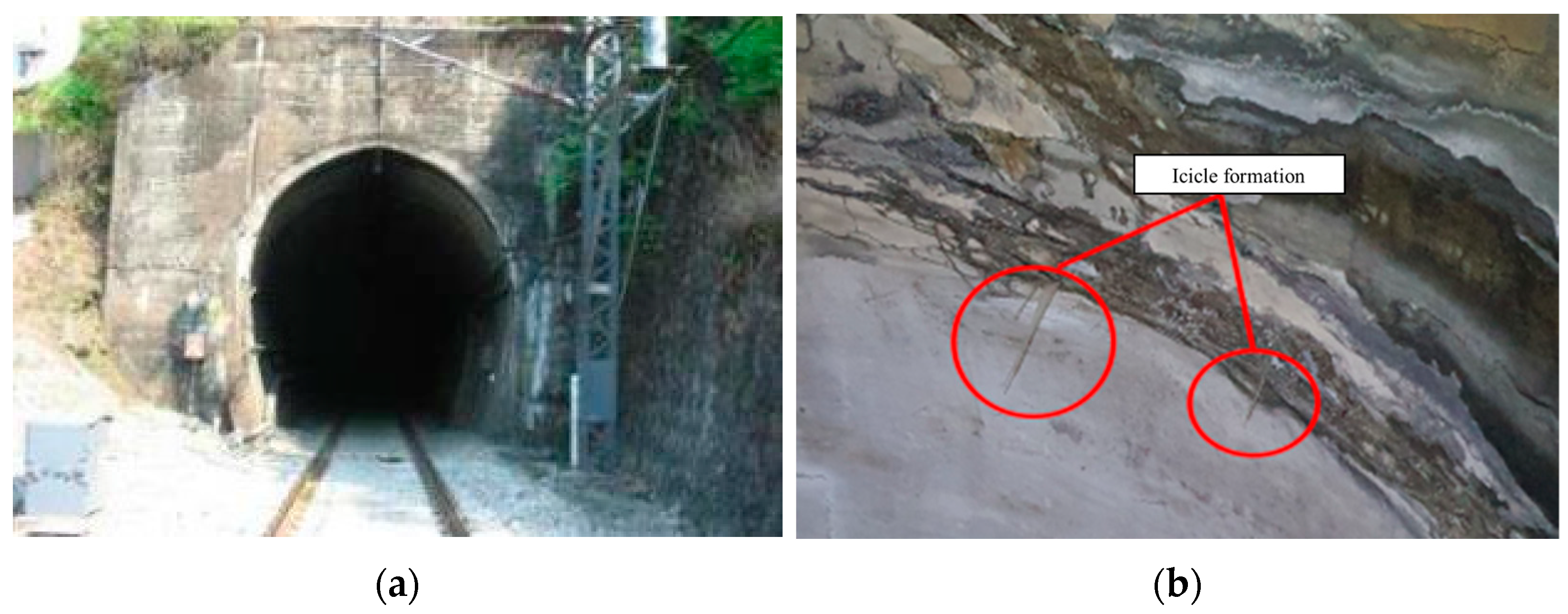 Applsci 12 11645 g007 550