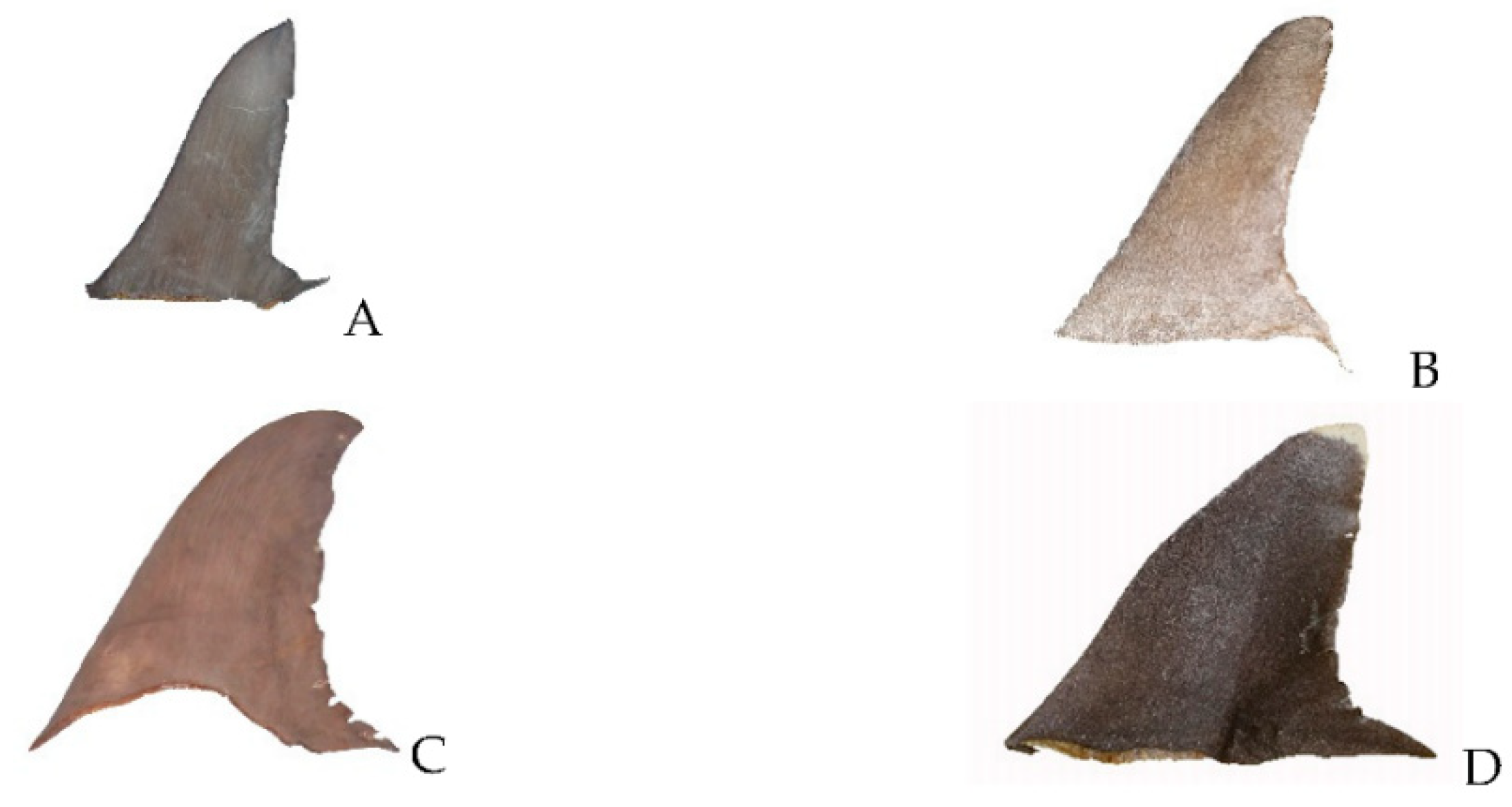 Applsci 12 11646 g001