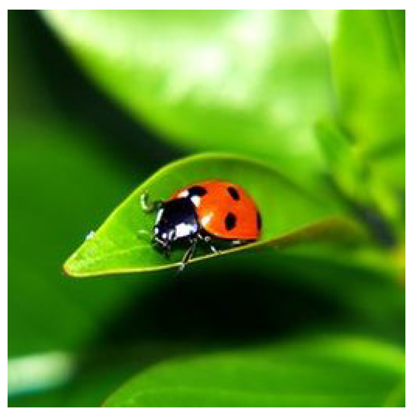 Applsci 12 11668 g001