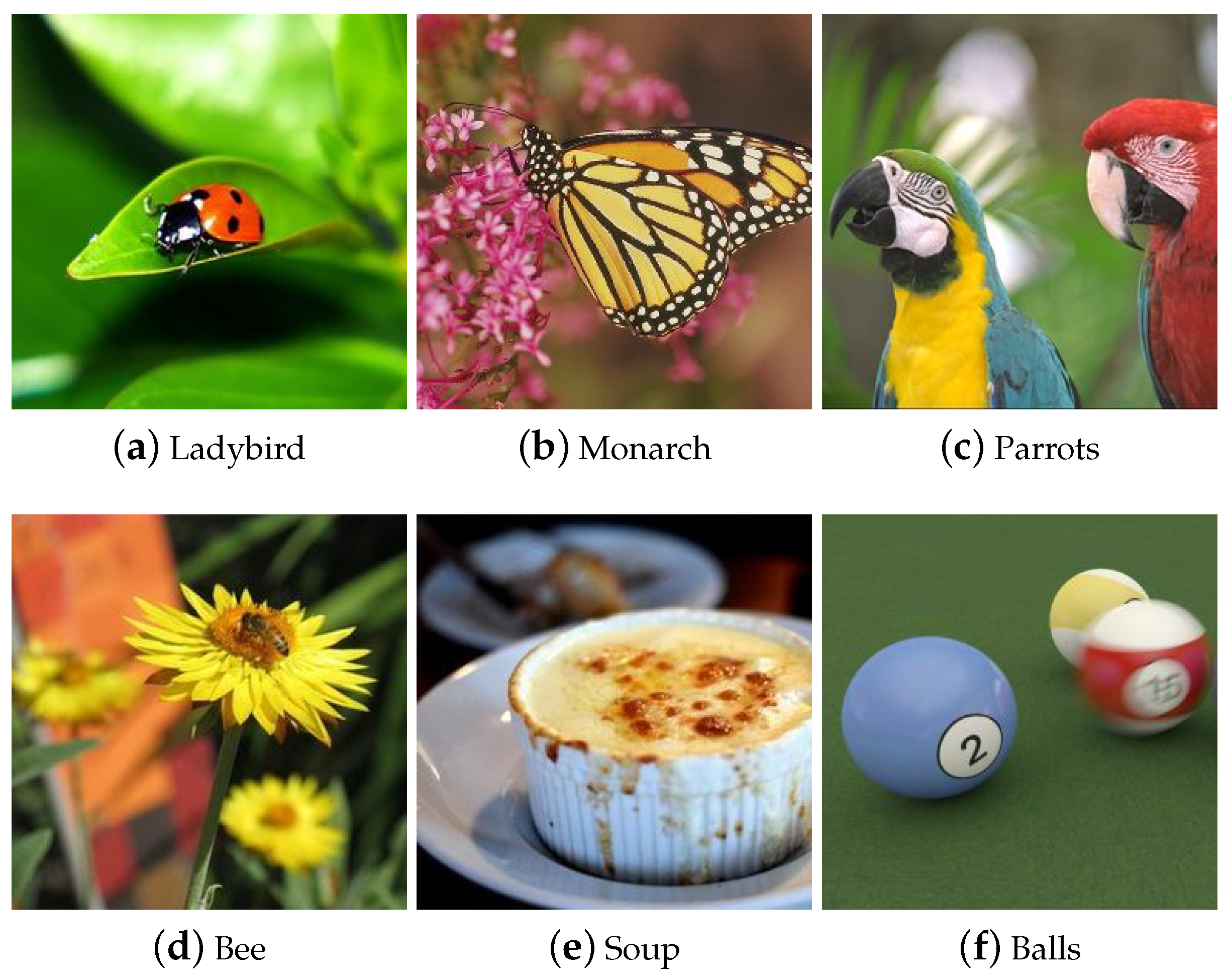 Applsci 12 11668 g005