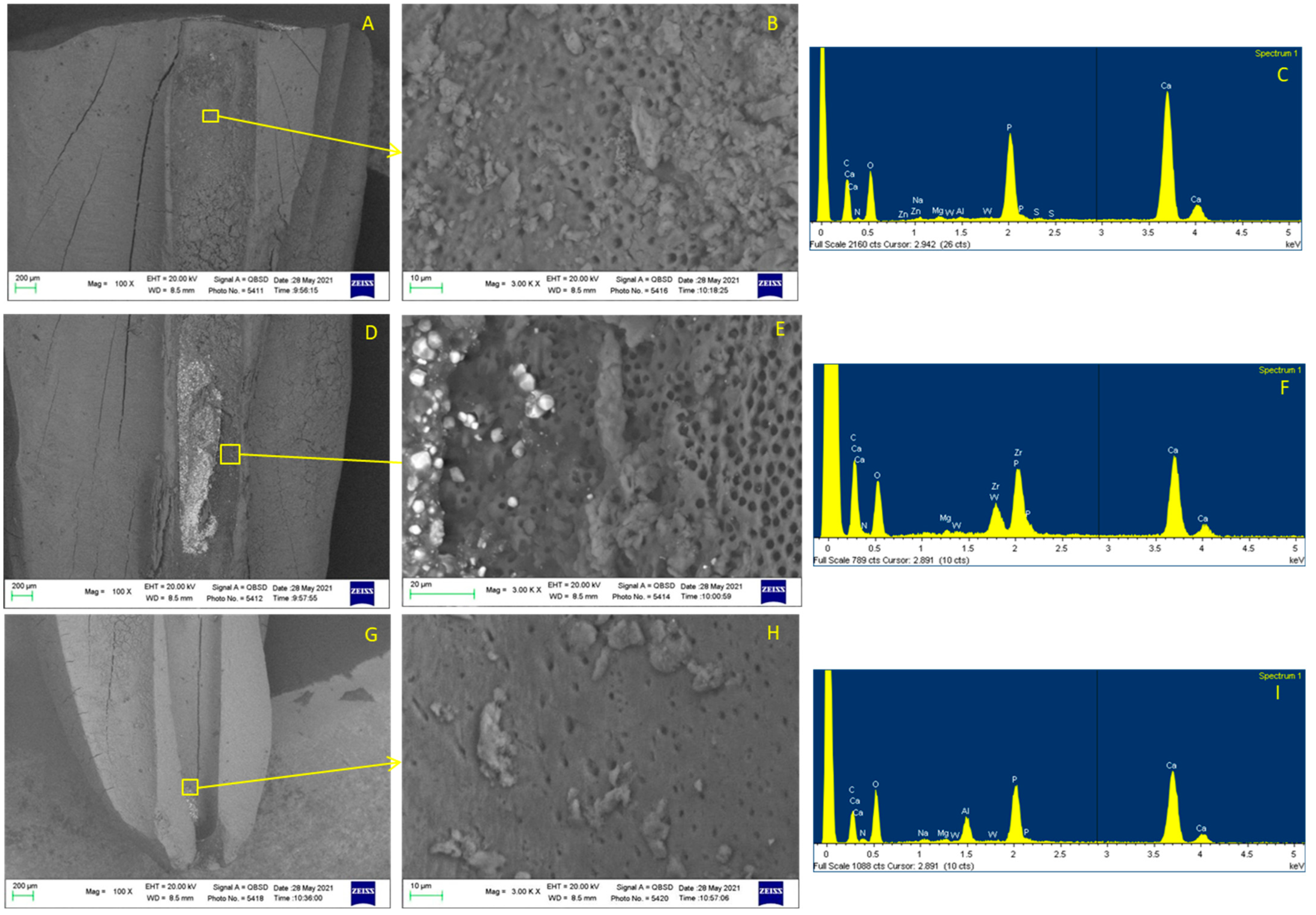 Applsci 12 11671 g005 Applsci 12 11671 g005