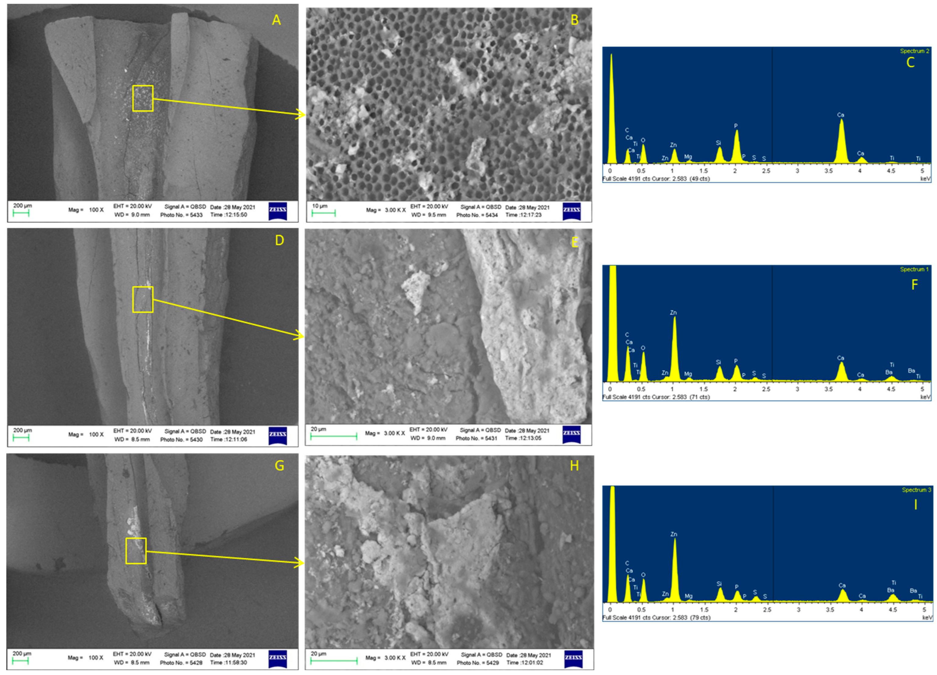 Applsci 12 11671 g006 Applsci 12 11671 g006