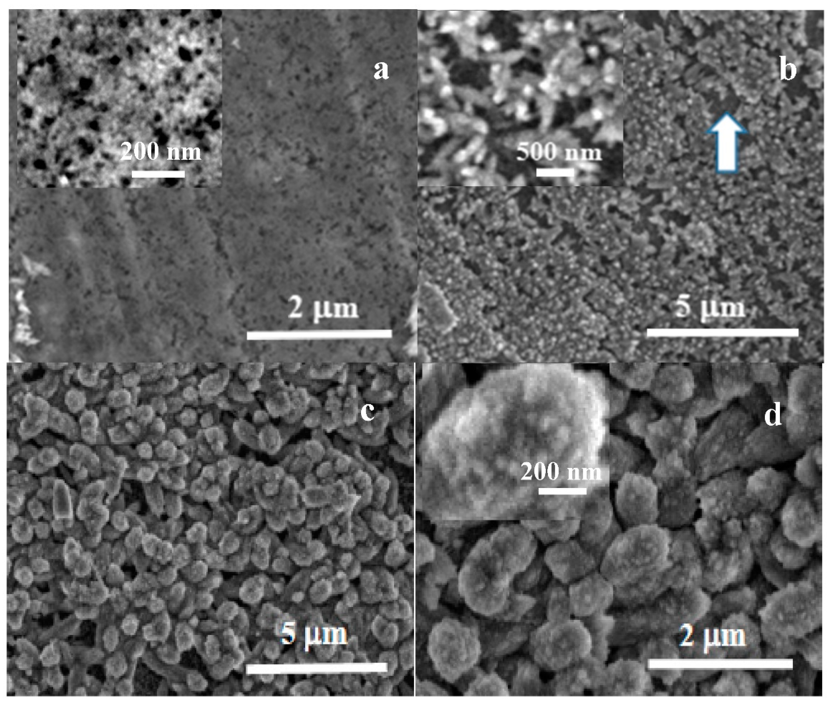 Applsci 12 11674 g006