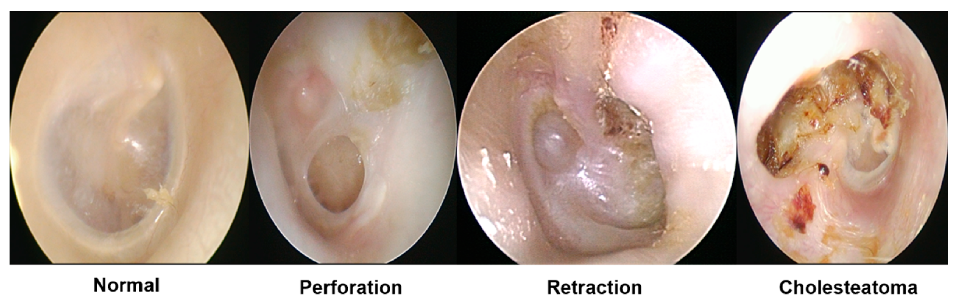 Applsci 12 11677 g002