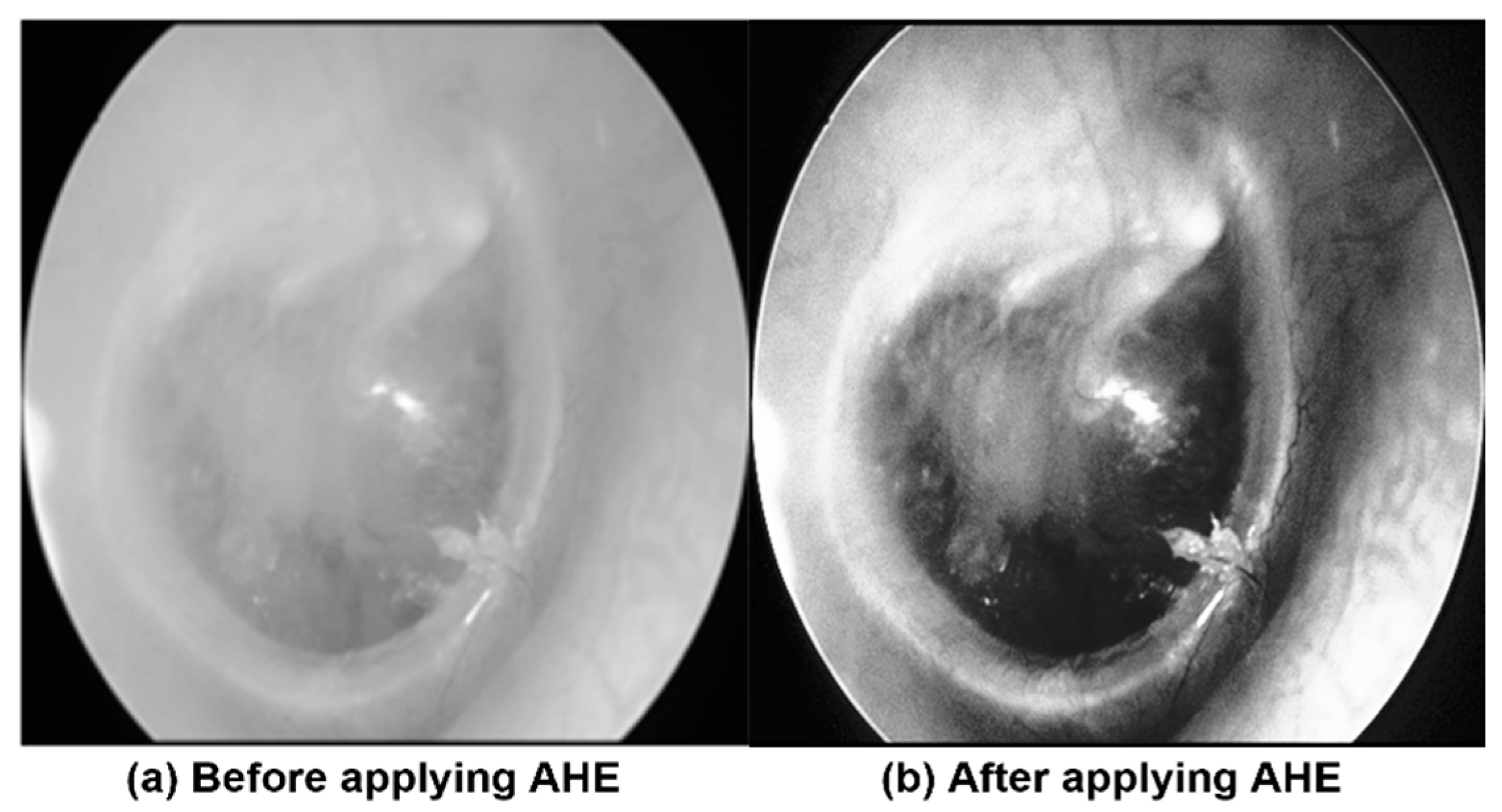 Applsci 12 11677 g003