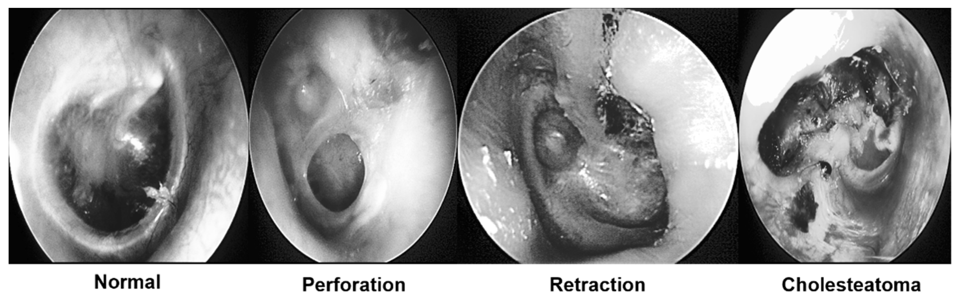 Applsci 12 11677 g004