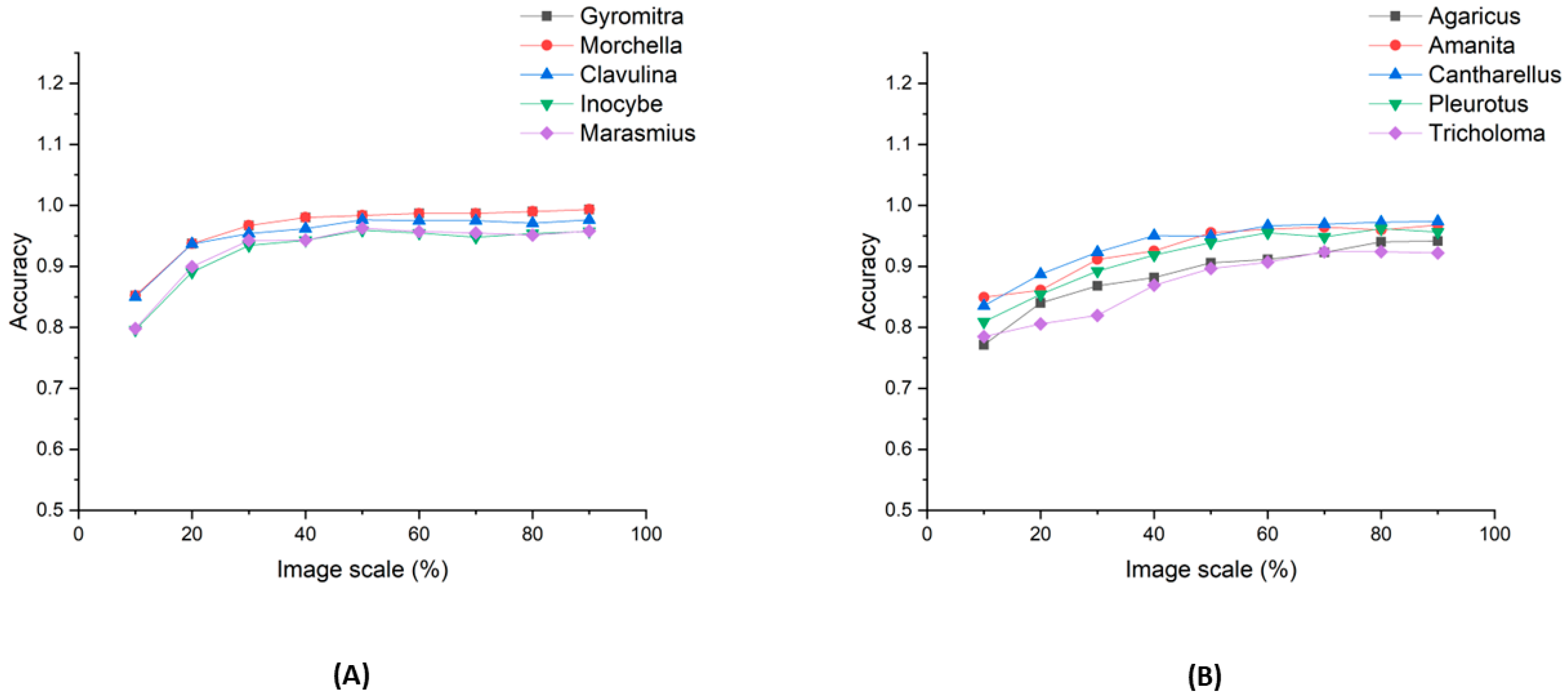 Machine Learning-Based Classification of Mushrooms Using a Smartphone ...