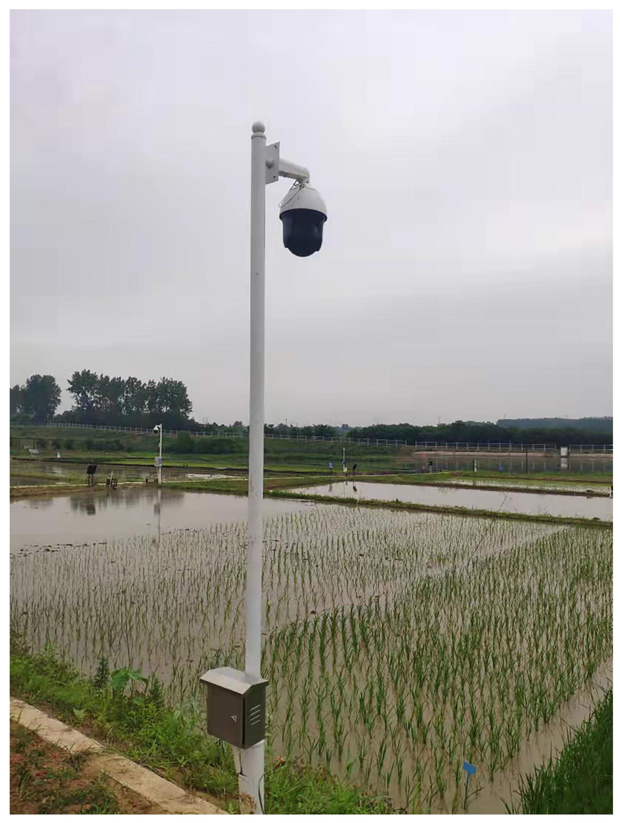 Applsci 12 11701 g0a1 550