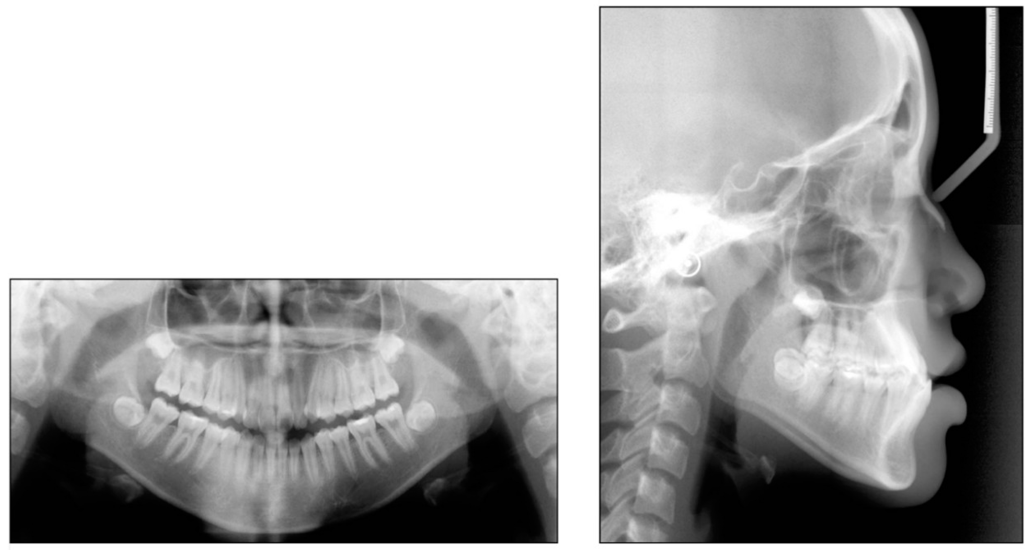 Applsci 12 11719 g002 Applsci 12 11719 g002