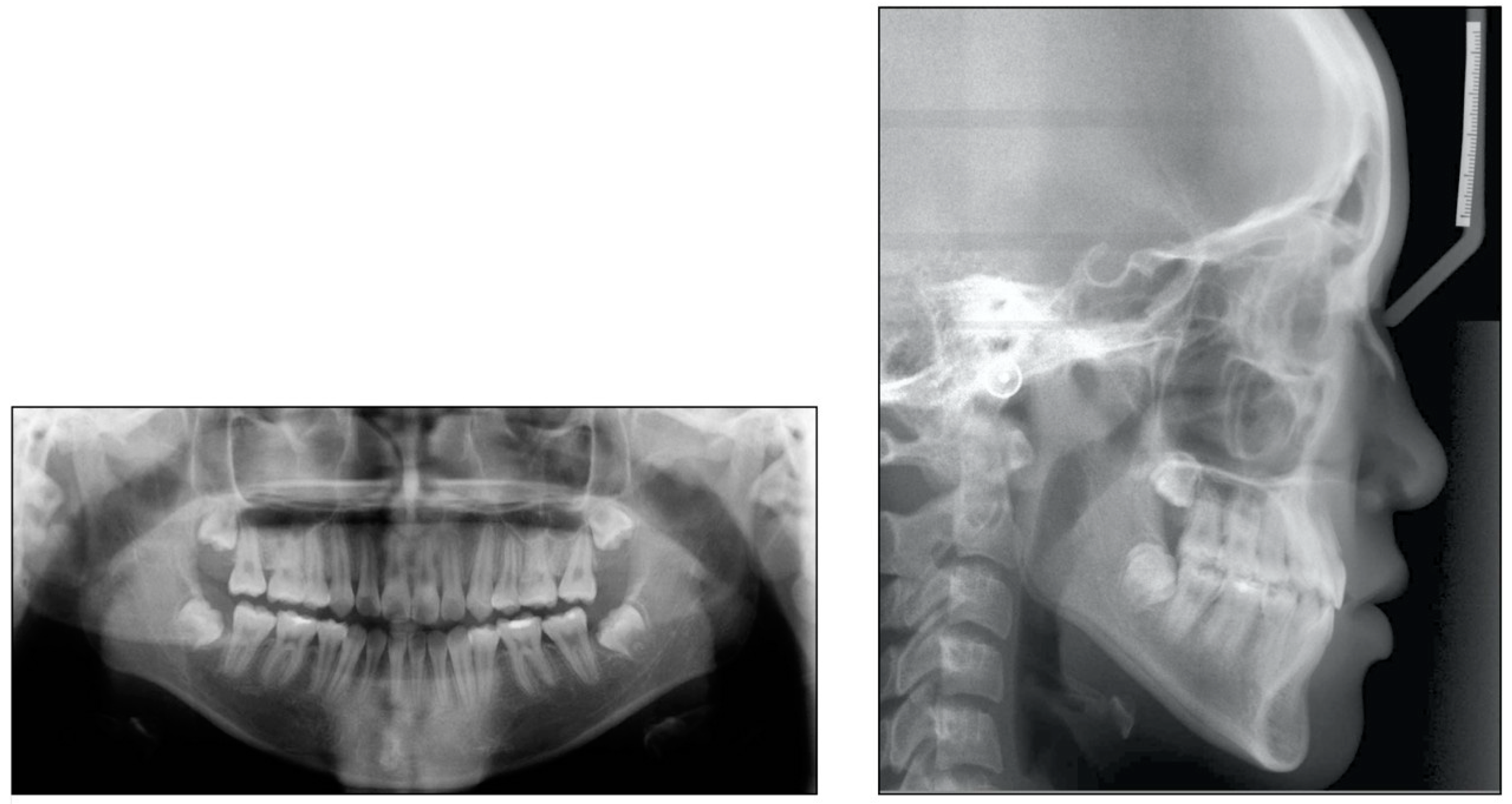 Applsci 12 11719 g006 Applsci 12 11719 g006