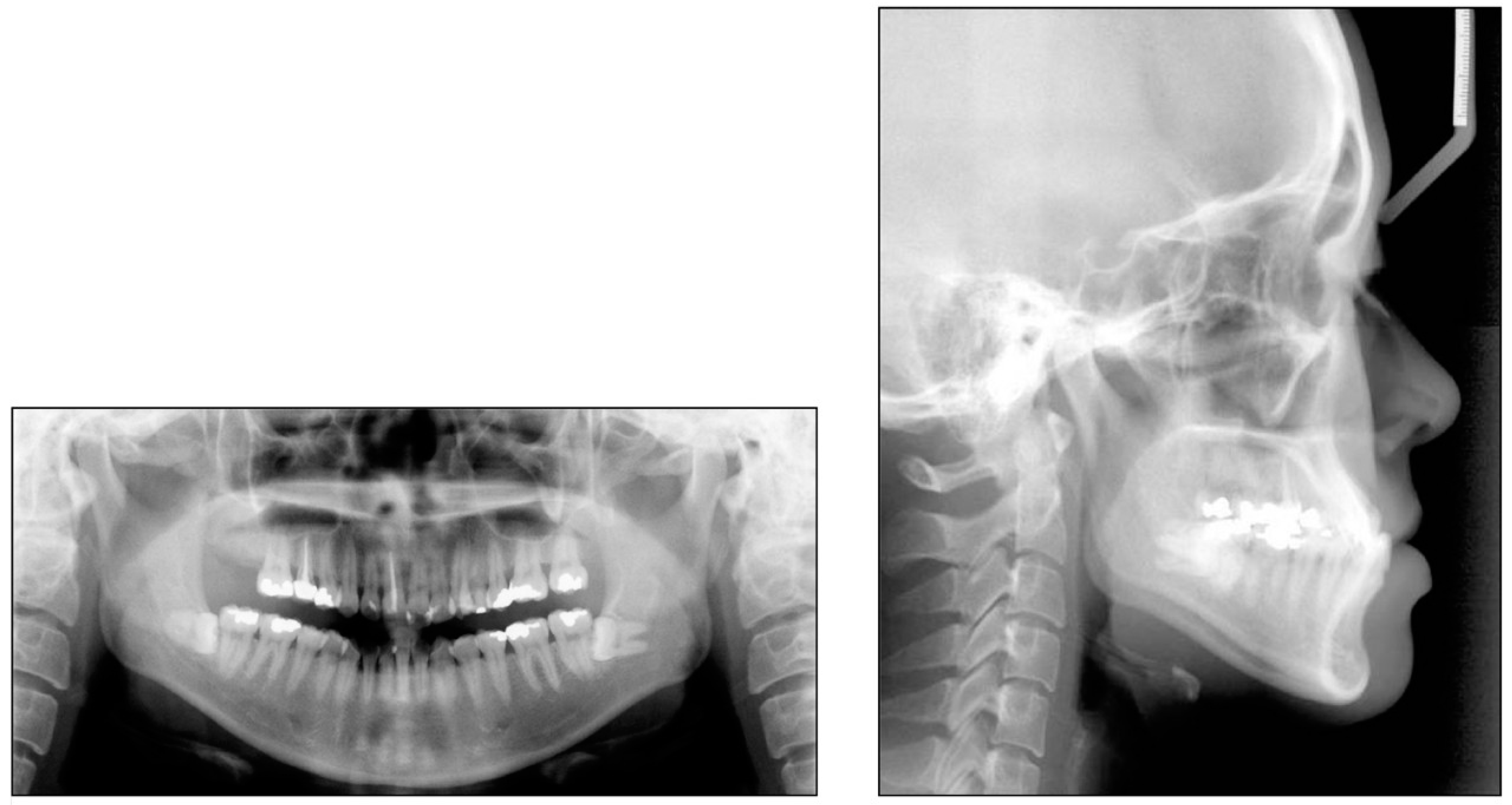 Applsci 12 11719 g010 Applsci 12 11719 g010