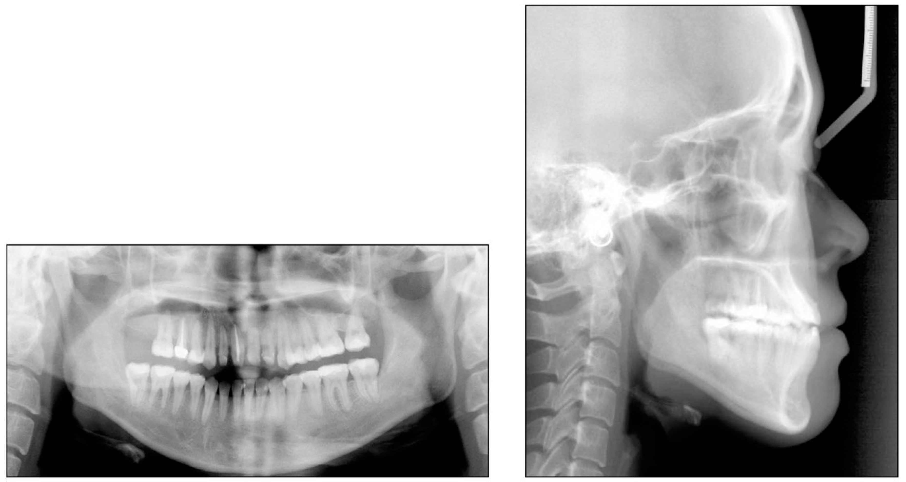 Applsci 12 11719 g014 Applsci 12 11719 g014