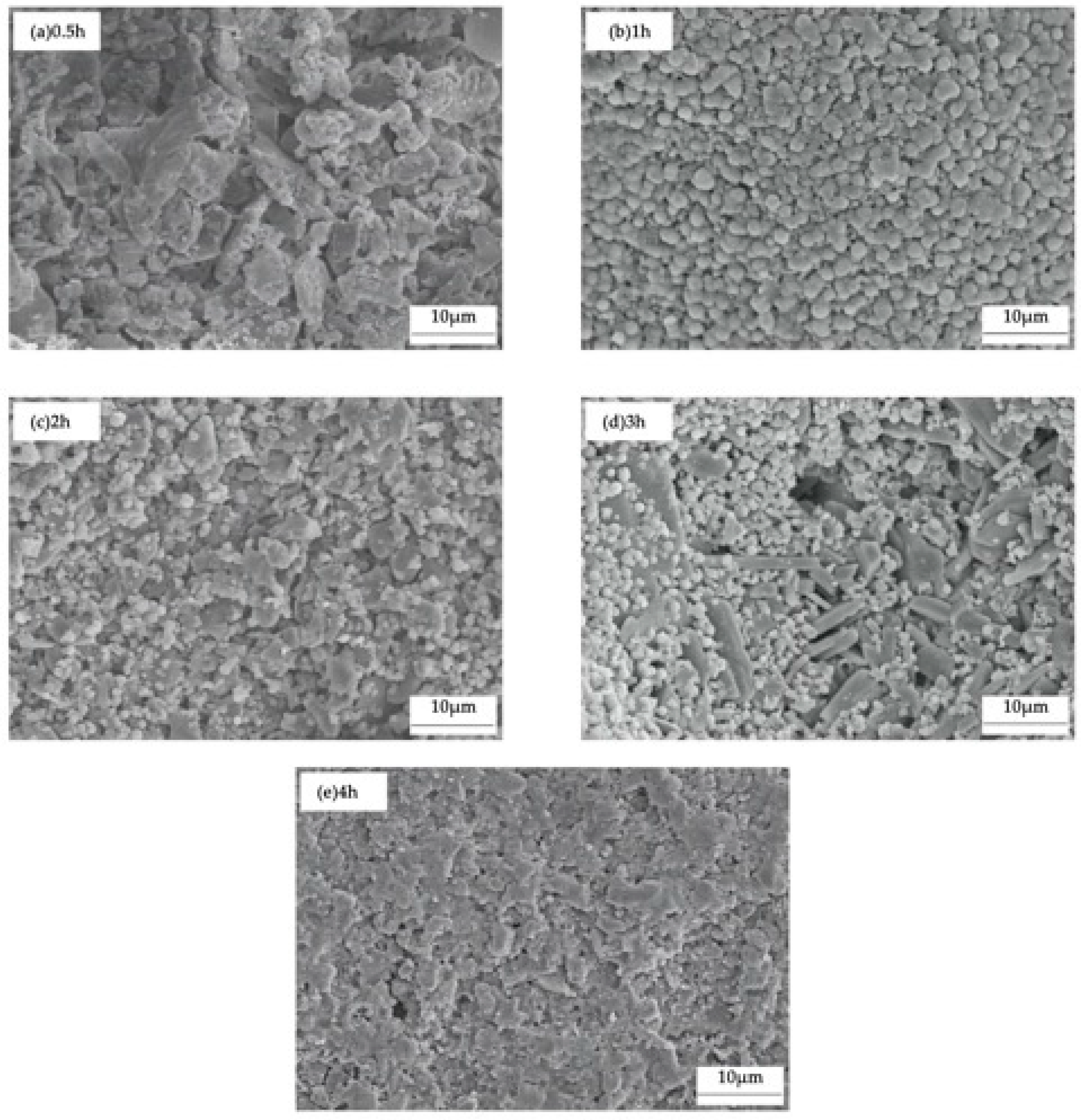 Applsci 12 11723 g011