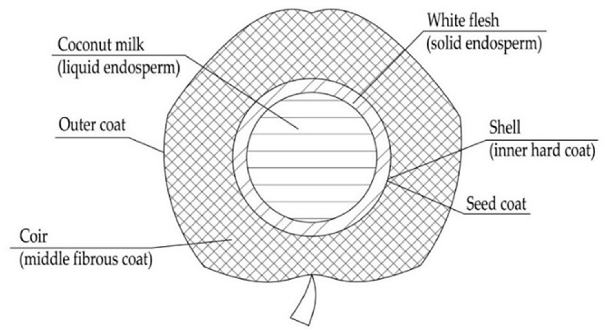 Applsci 12 11734 g001
