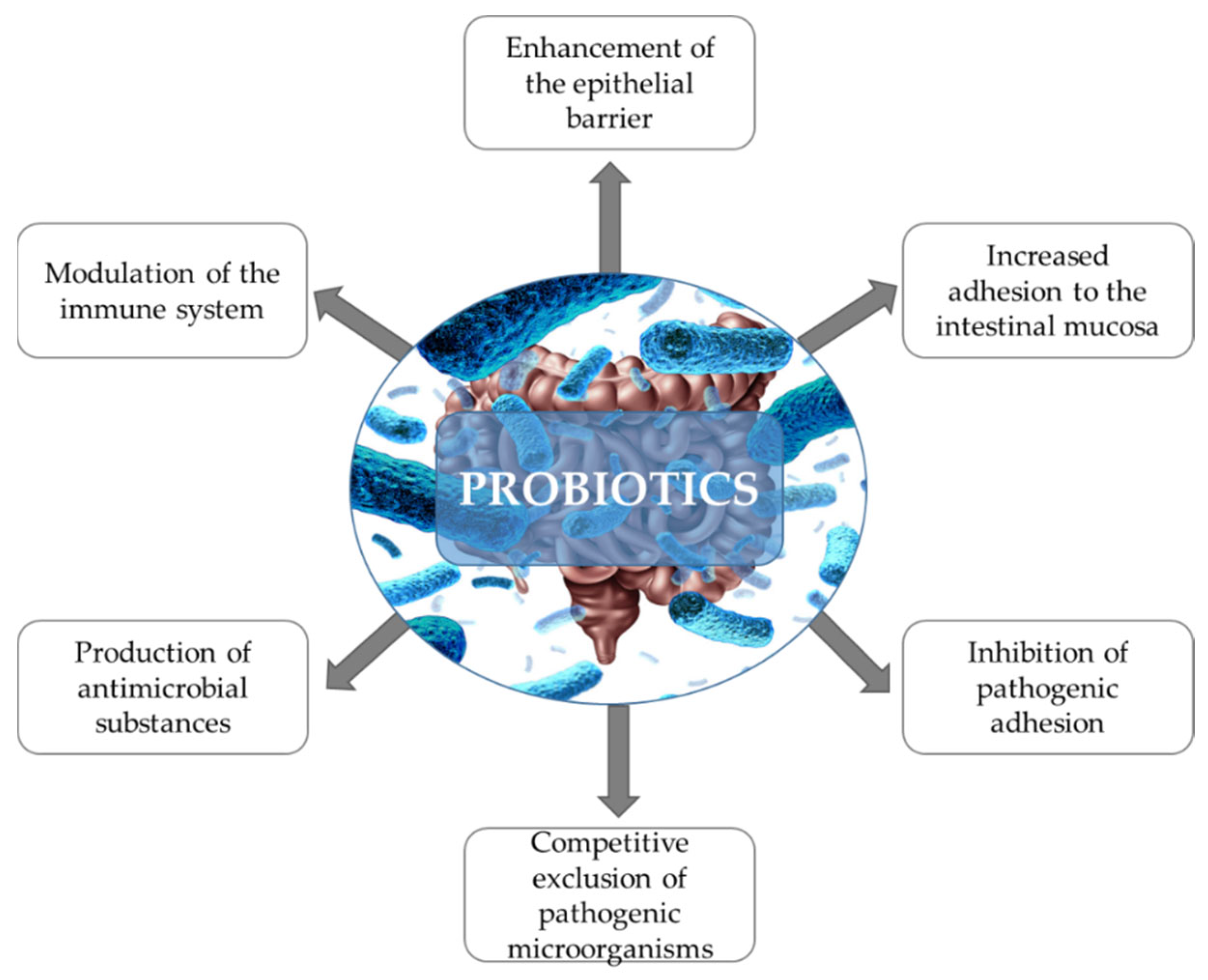 Applied Sciences | Free Full-Text | Probiotics and Beneficial