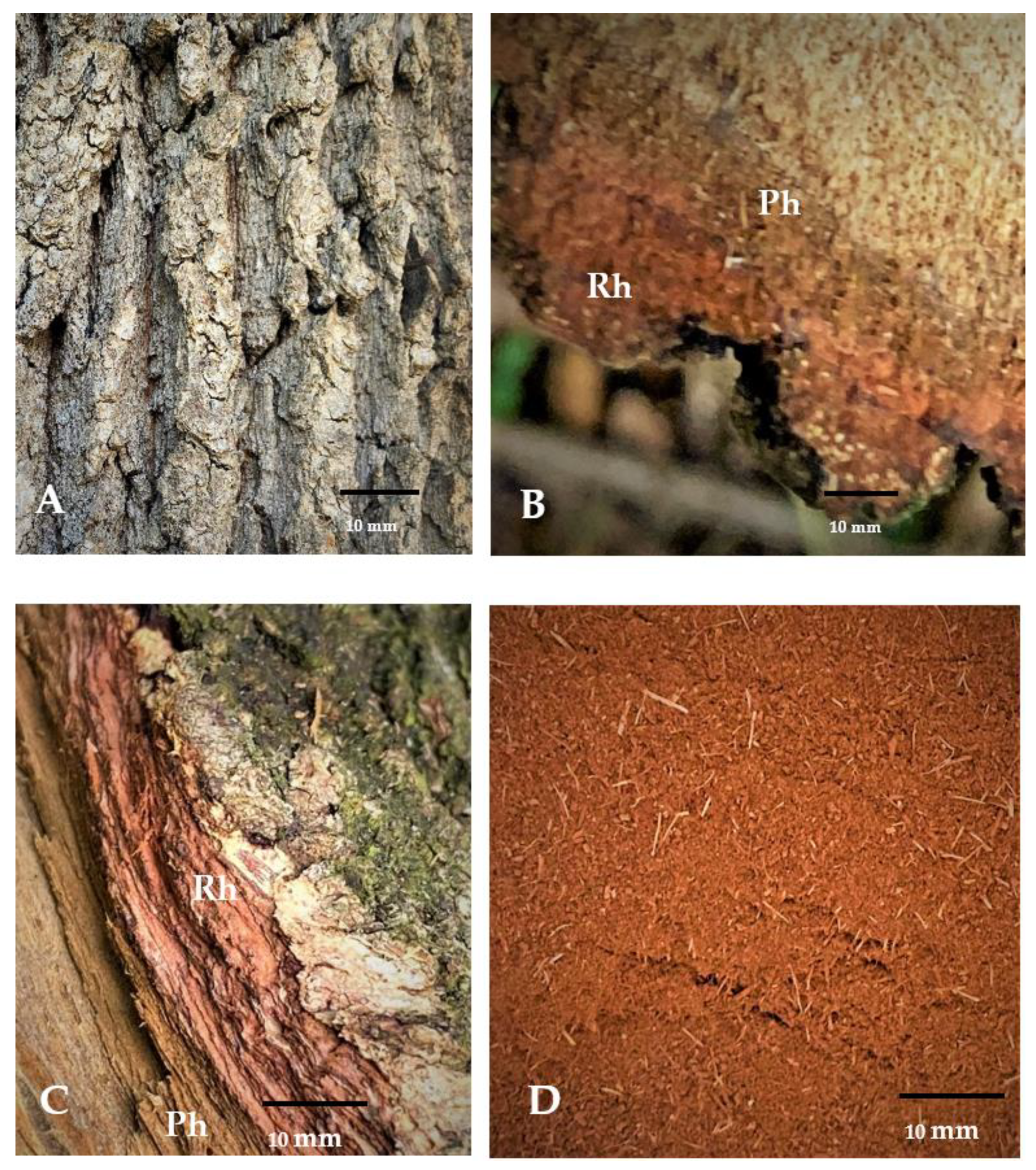 Applsci 12 11738 g001 Applsci 12 11738 g001