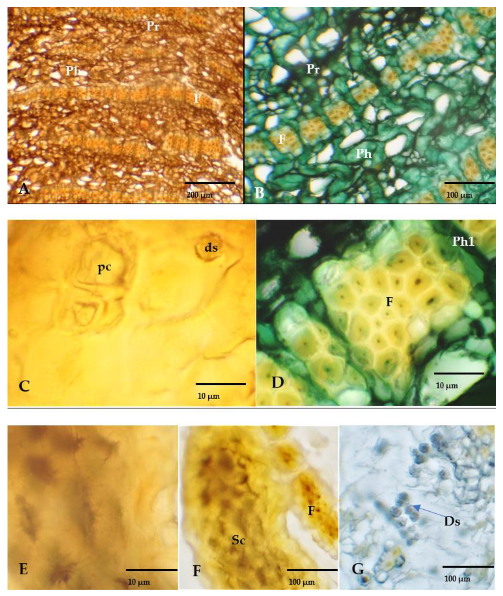 Applsci 12 11738 g002 Applsci 12 11738 g002