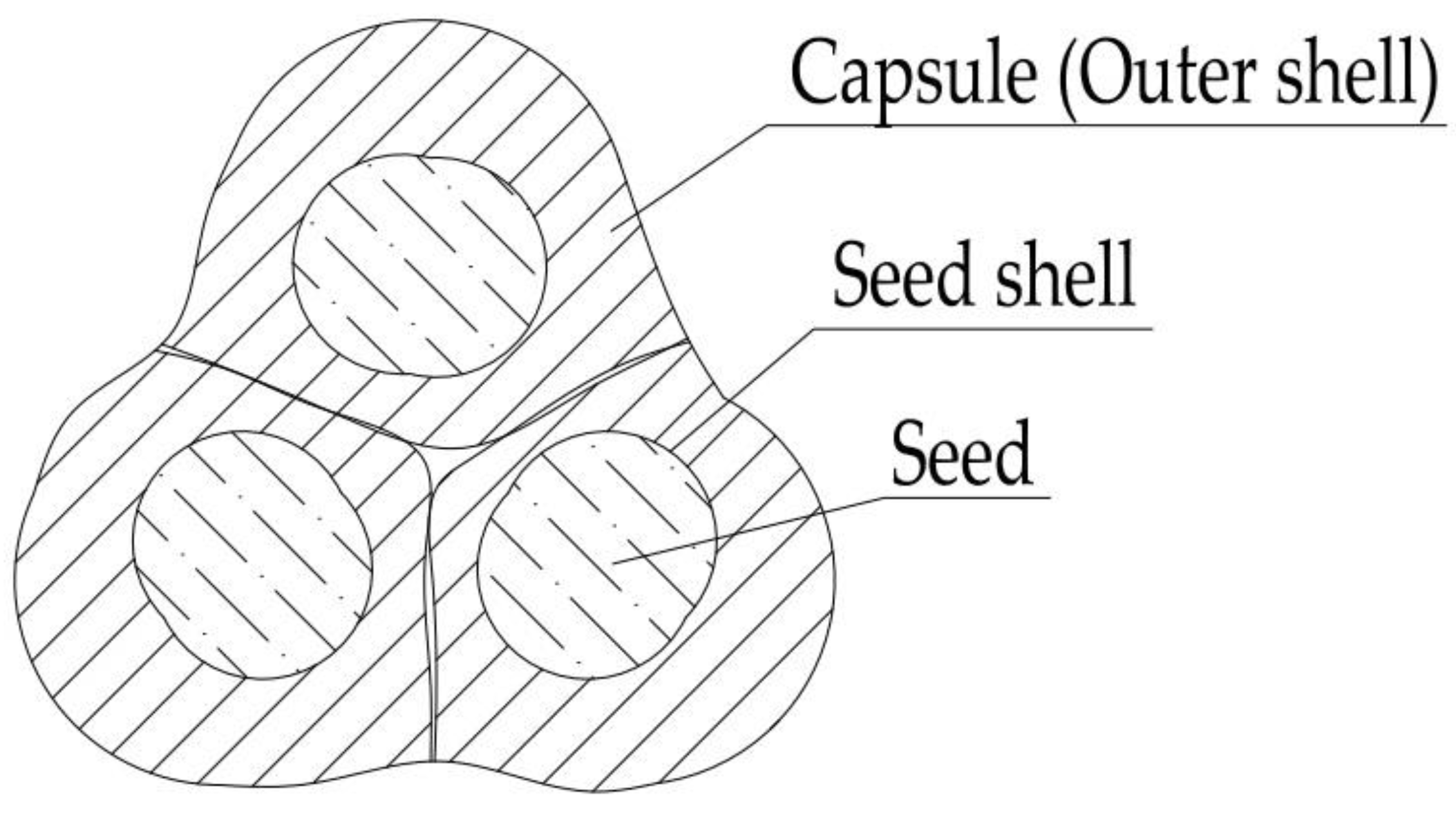Applsci 12 11744 g001 Applsci 12 11744 g001