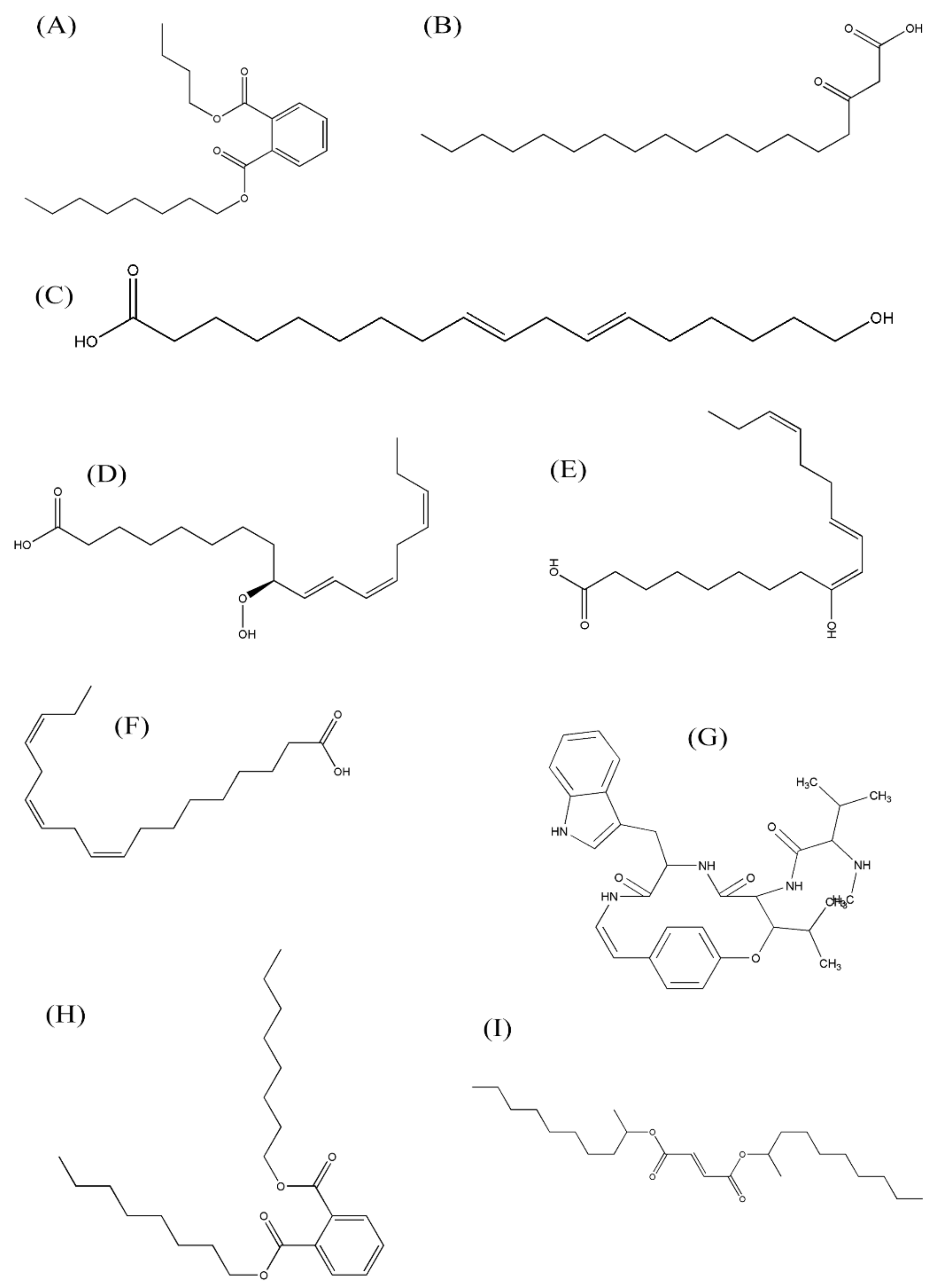 Applsci 12 11749 g005 Applsci 12 11749 g005