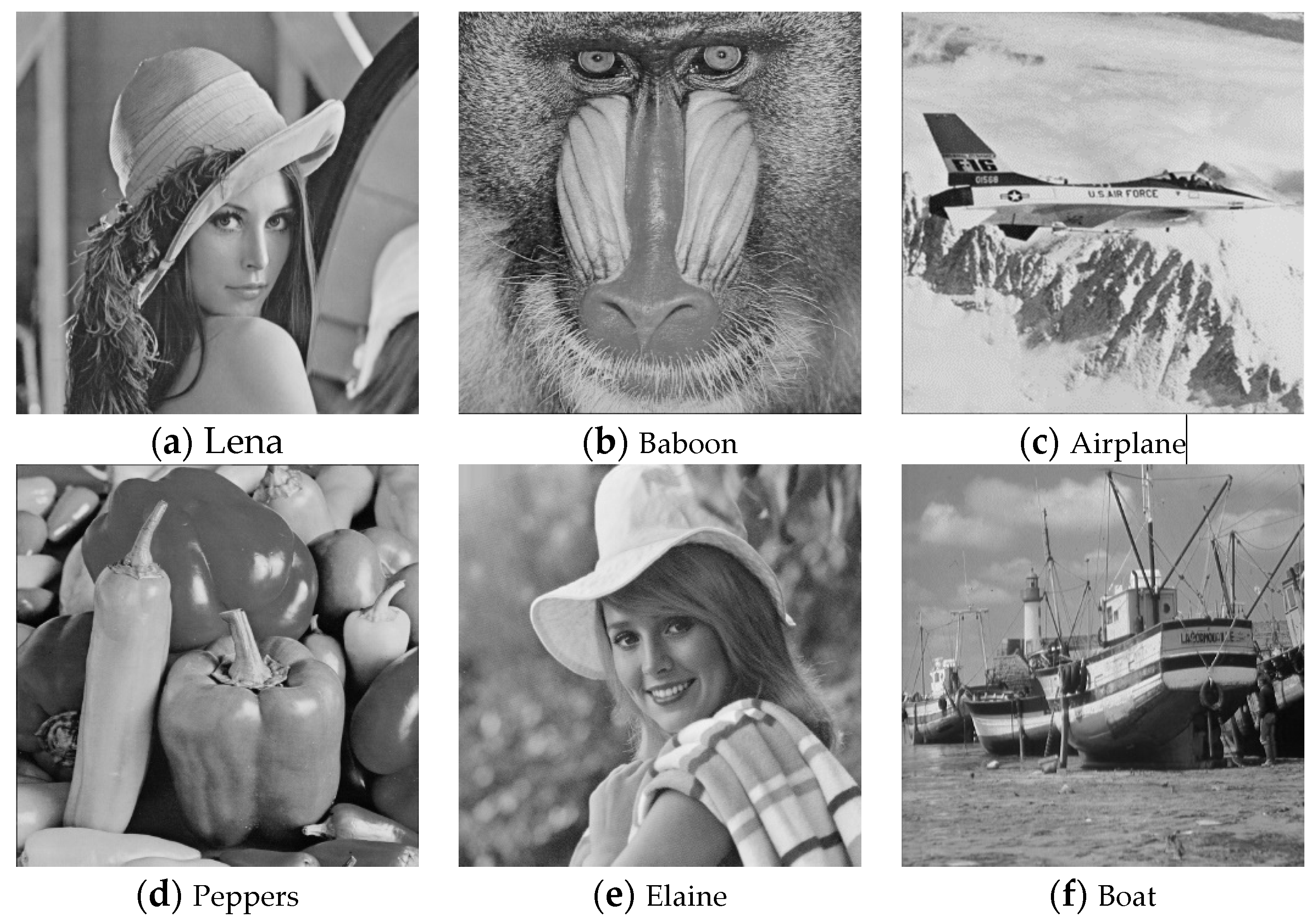 Applsci 12 11826 g005 Applsci 12 11826 g005