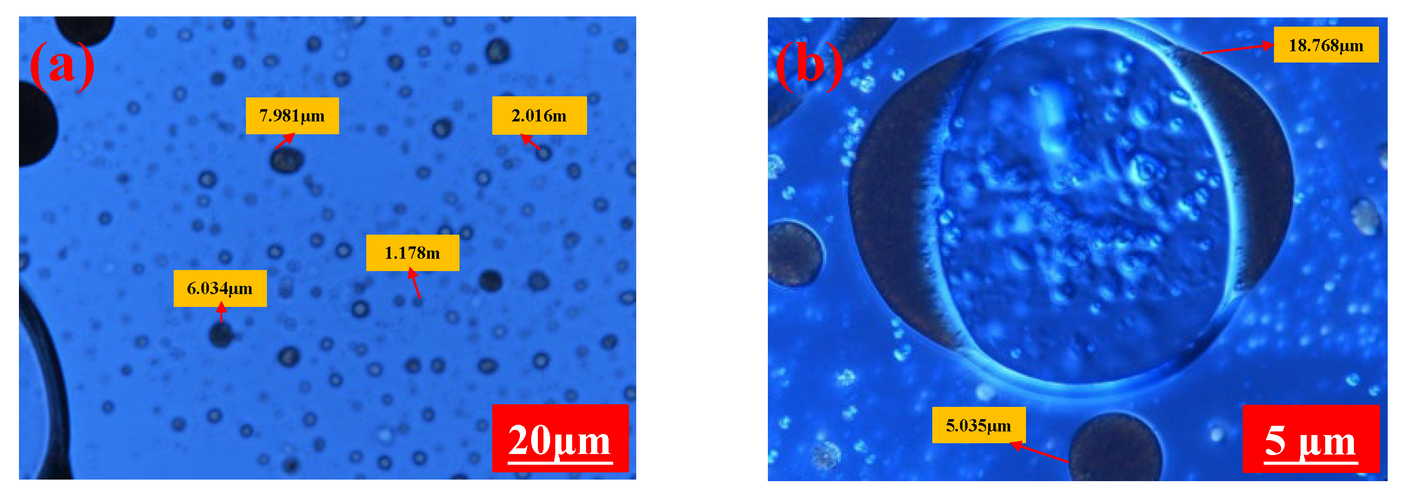 Applsci 12 11867 g013 Applsci 12 11867 g013