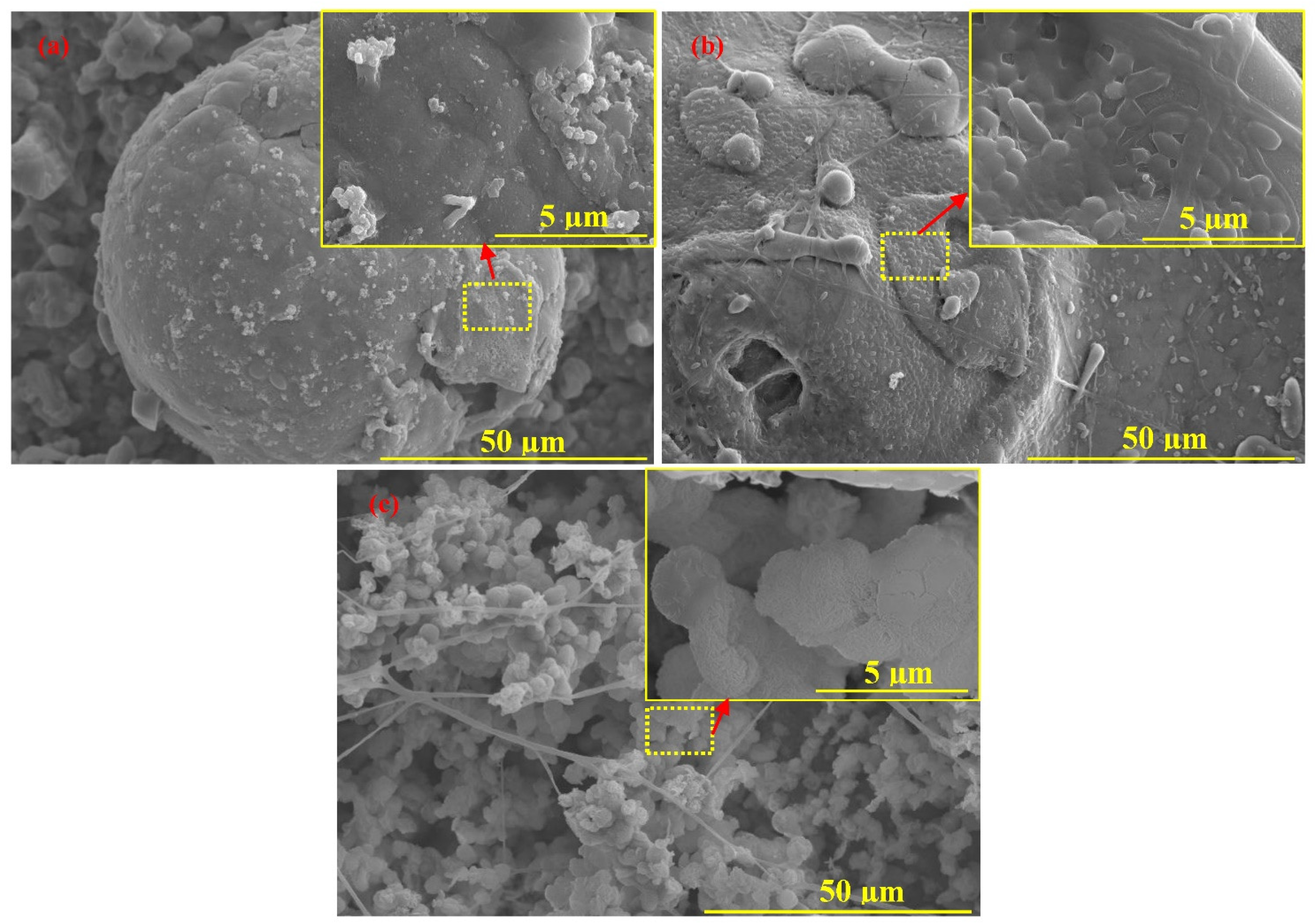 Applsci 12 11874 g007