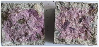 Applsci 12 11874 i007