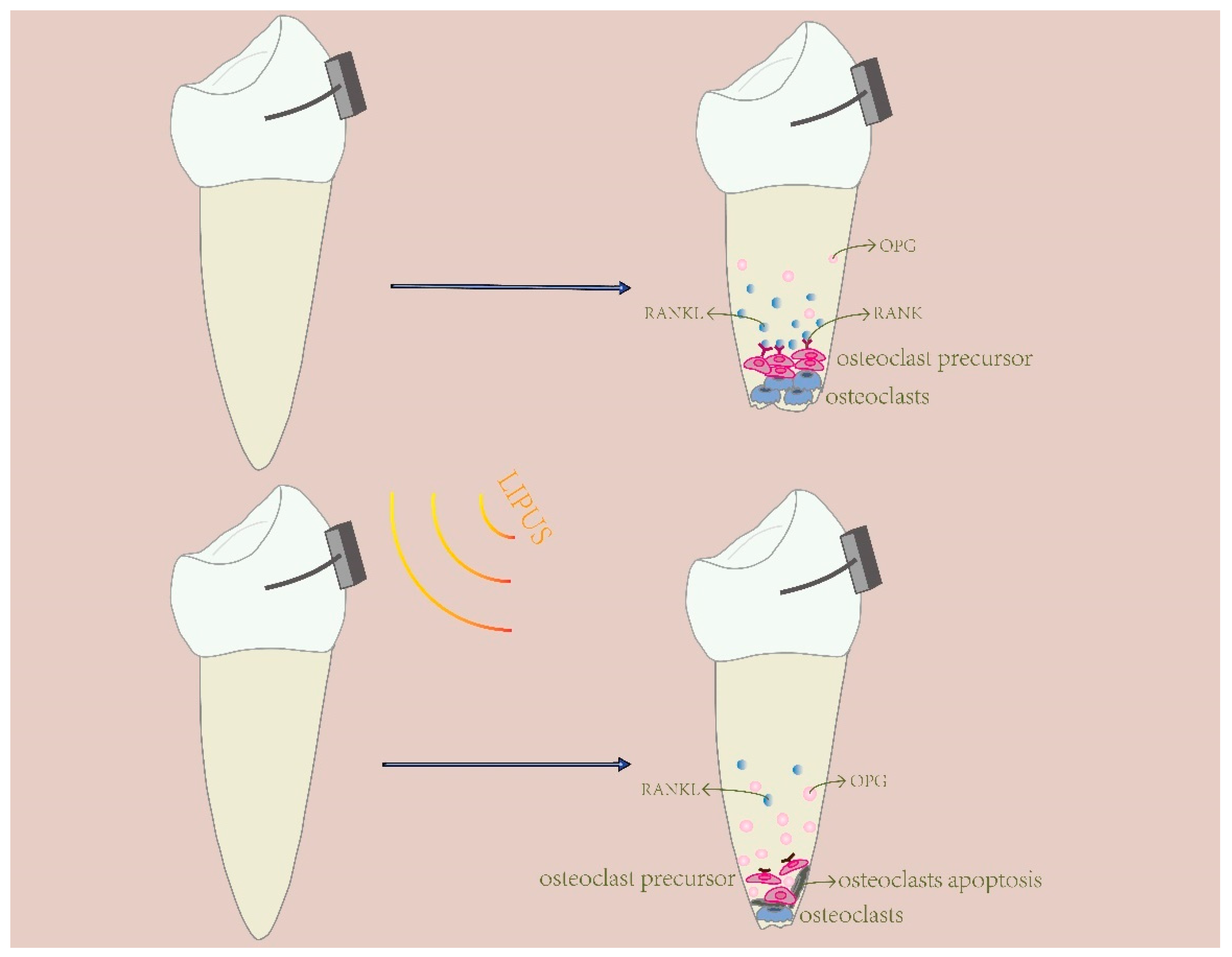 Applsci 12 11898 g005