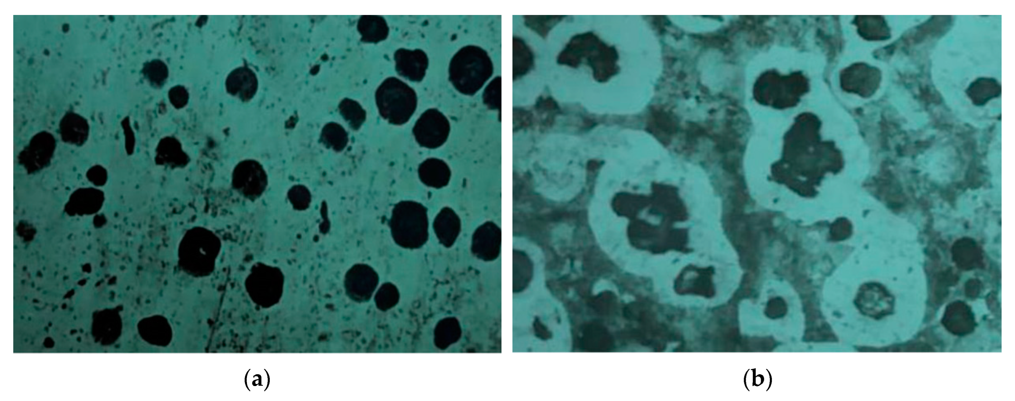 Applsci 12 11916 g001 Applsci 12 11916 g001