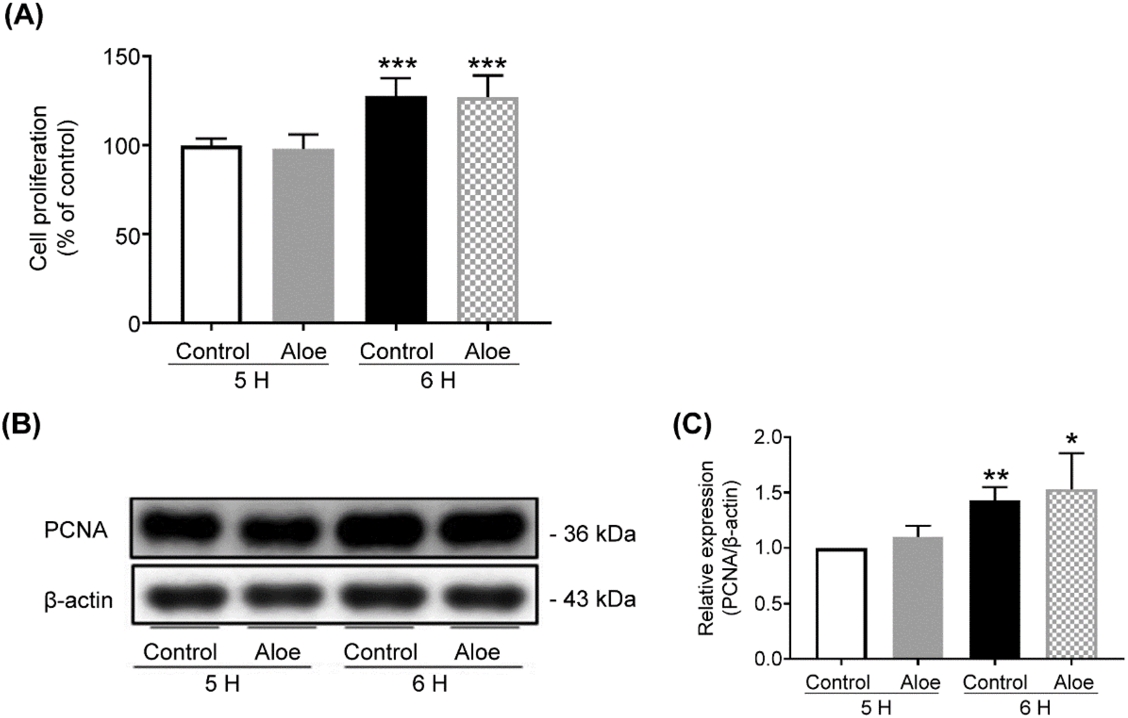 Applsci 12 11919 g002 Applsci 12 11919 g002