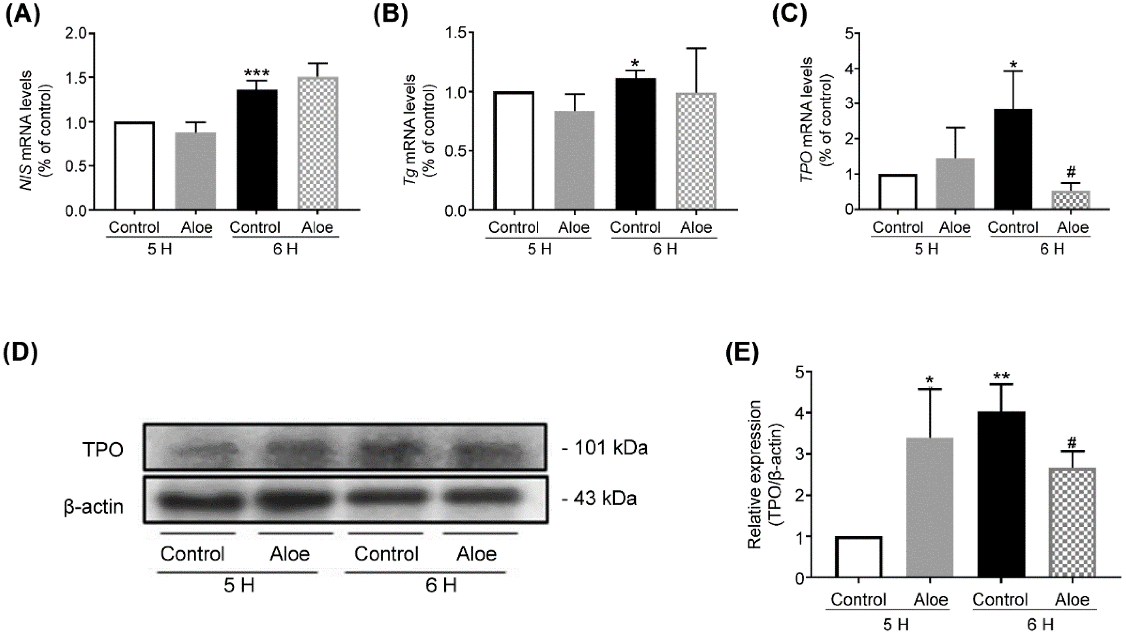 Applsci 12 11919 g003 Applsci 12 11919 g003