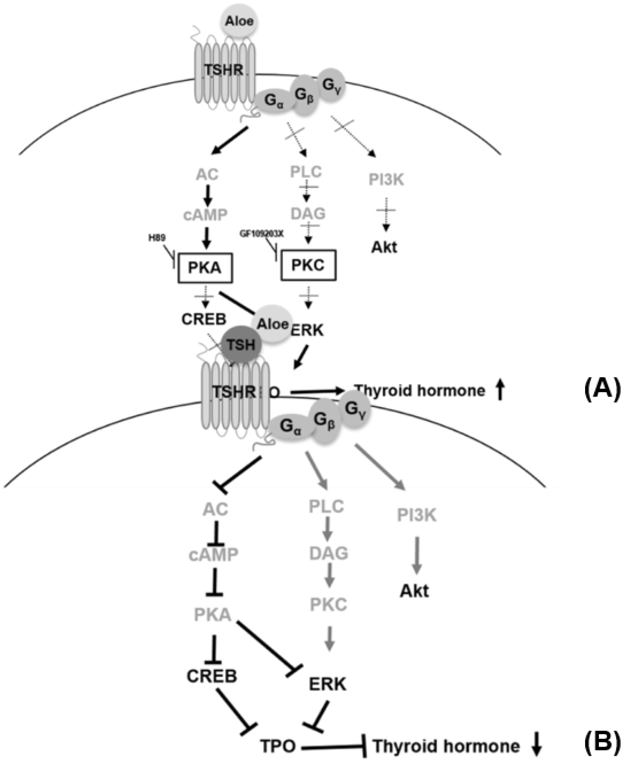 Applsci 12 11919 g006 Applsci 12 11919 g006