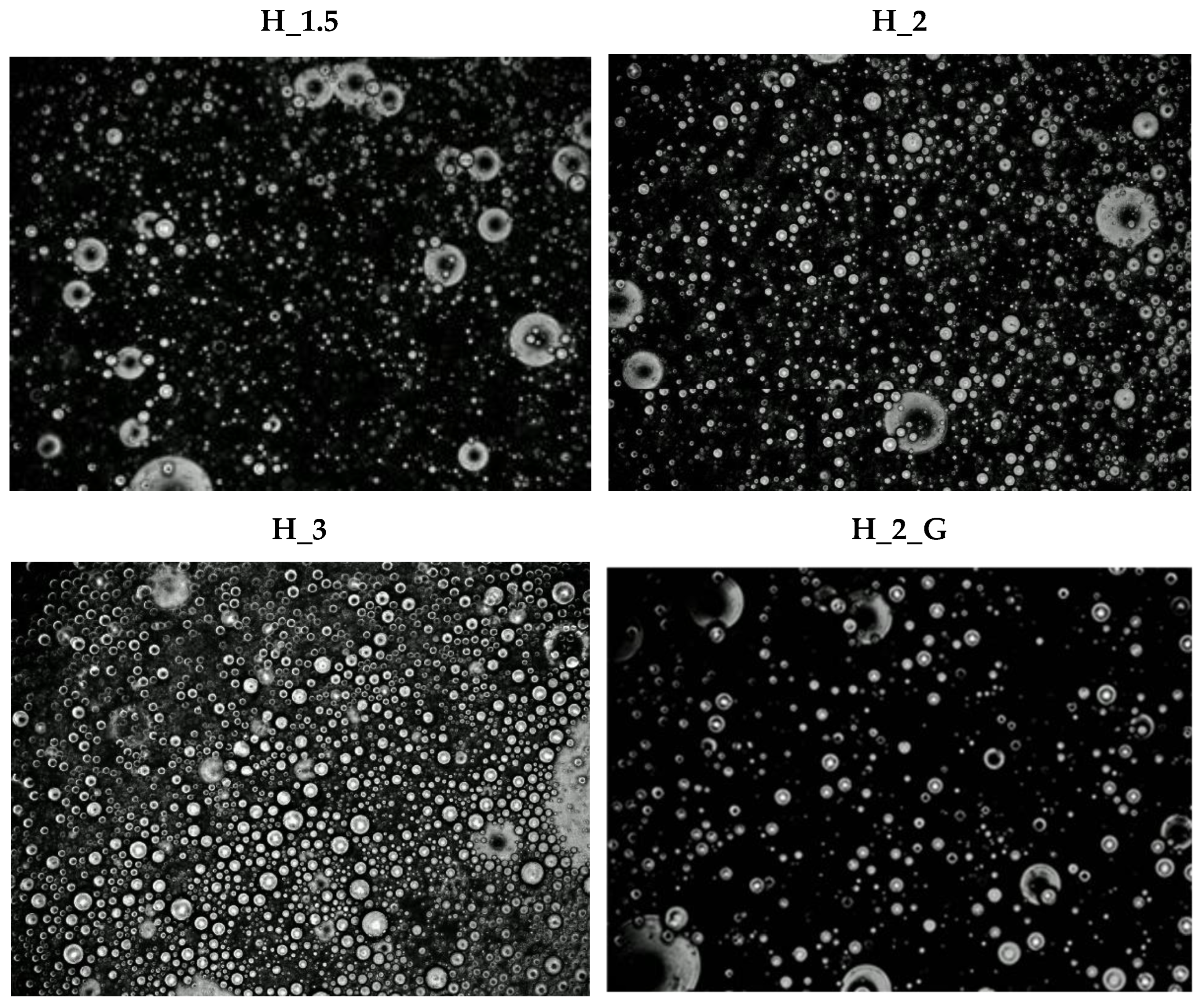 Applsci 12 11921 g002 Applsci 12 11921 g002