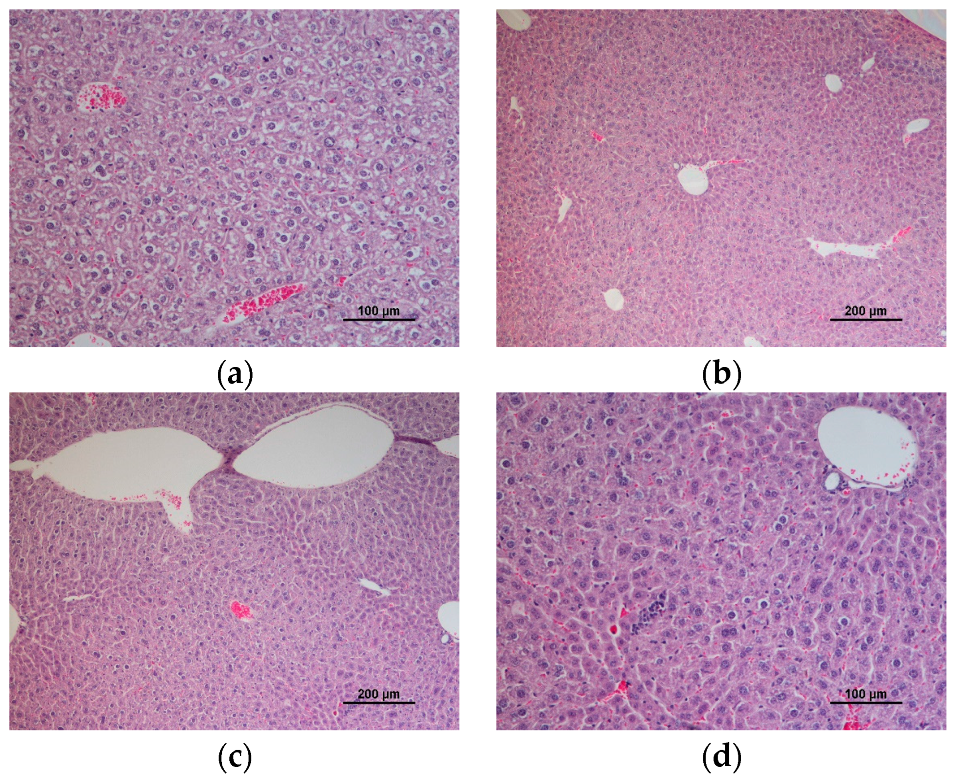 Applsci 12 11928 g004 Applsci 12 11928 g004